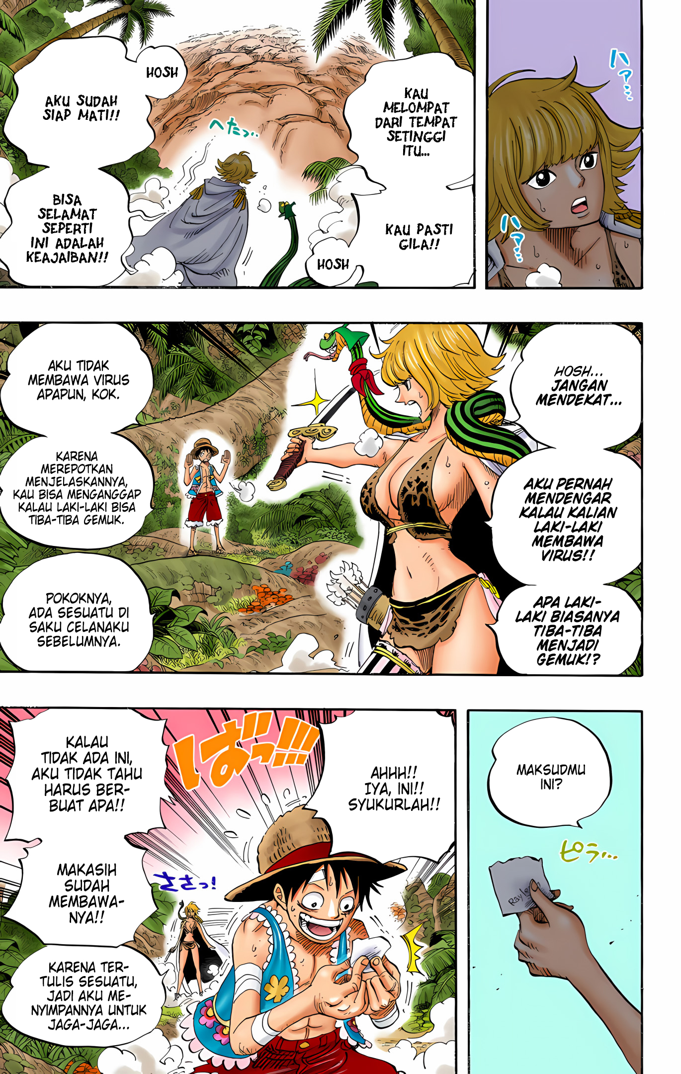 One Piece (Official Colored) Chapter 515 - halaman 16