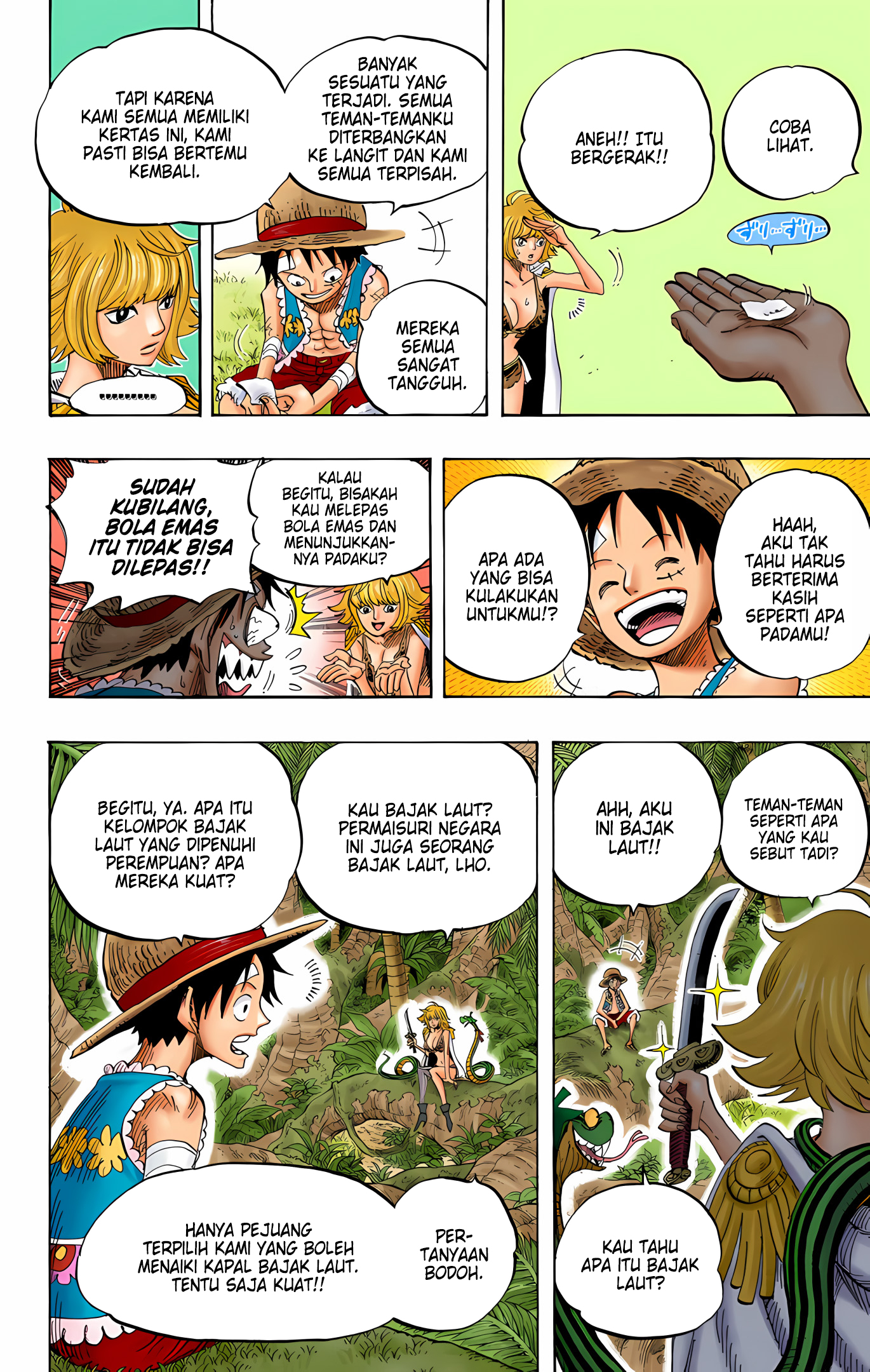 One Piece (Official Colored) Chapter 515 - halaman 17