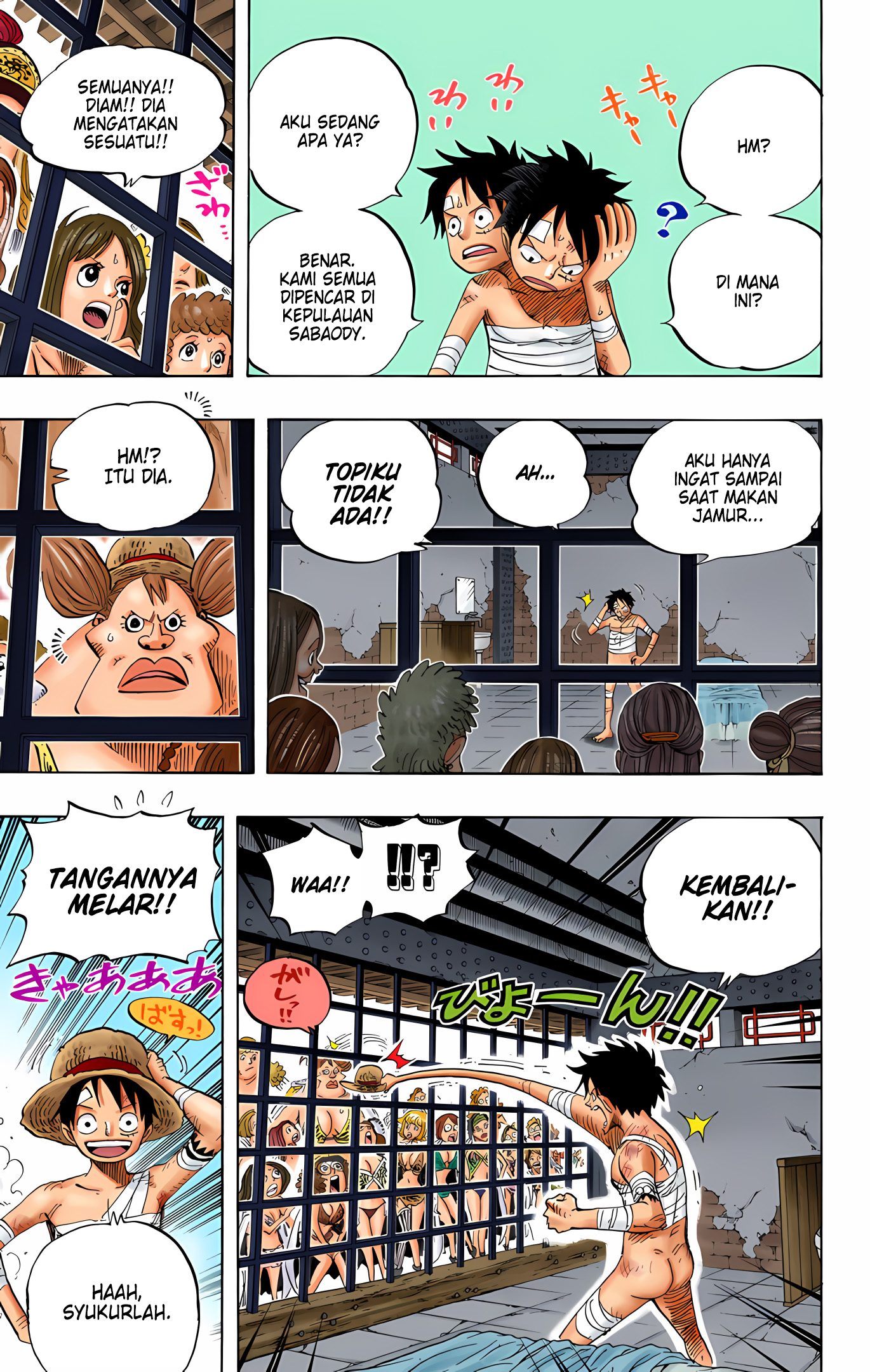 One Piece (Official Colored) Chapter 515 - halaman 6
