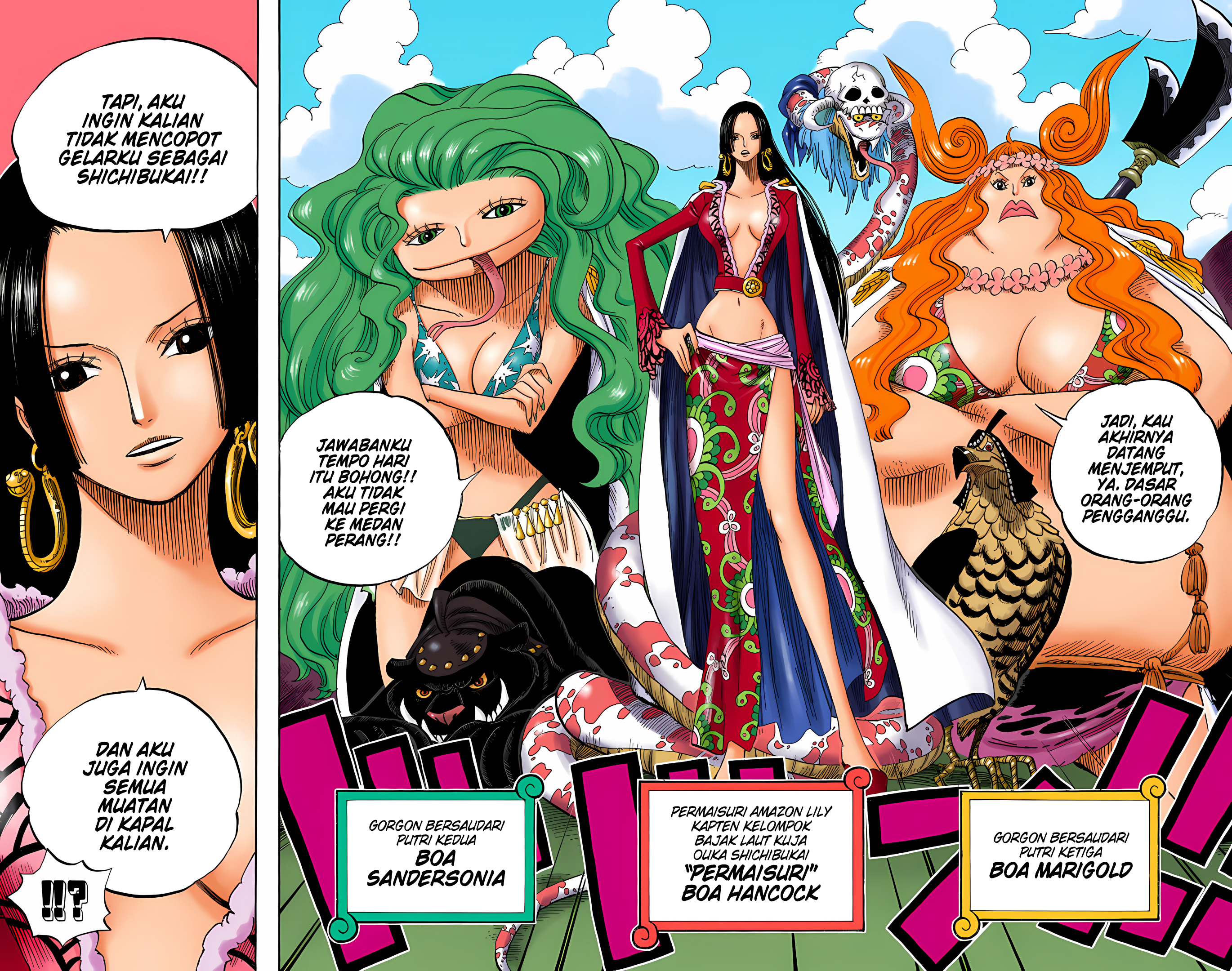 One Piece (Official Colored) Chapter 516 - halaman 12