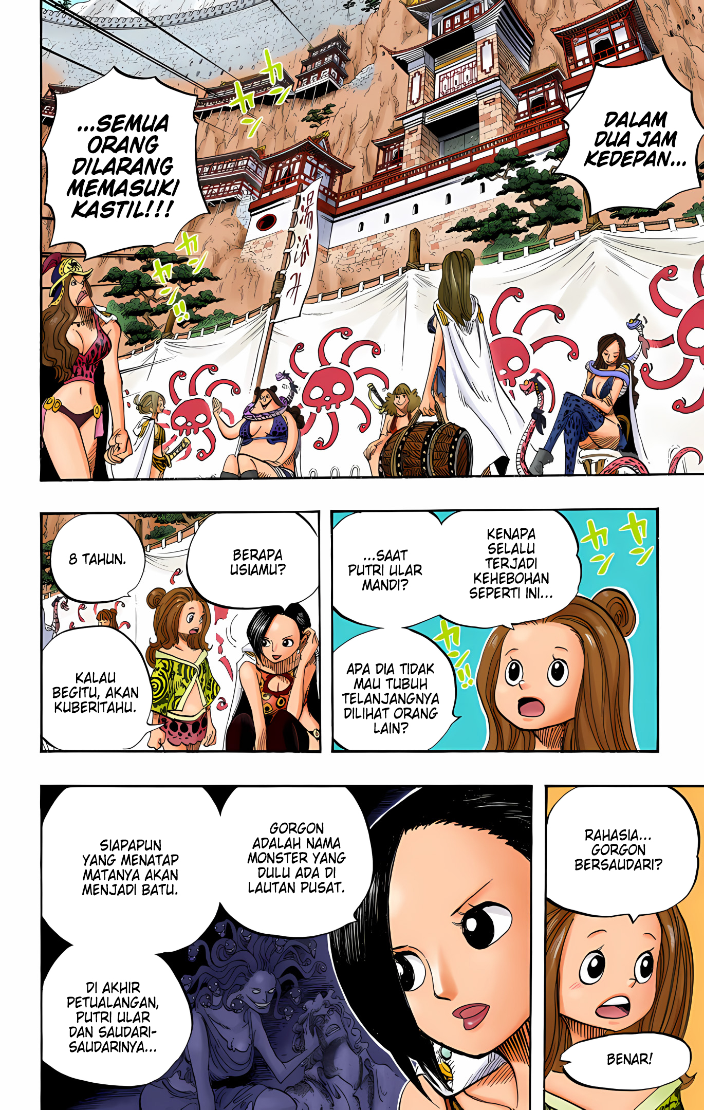 One Piece (Official Colored) Chapter 517 - halaman 14