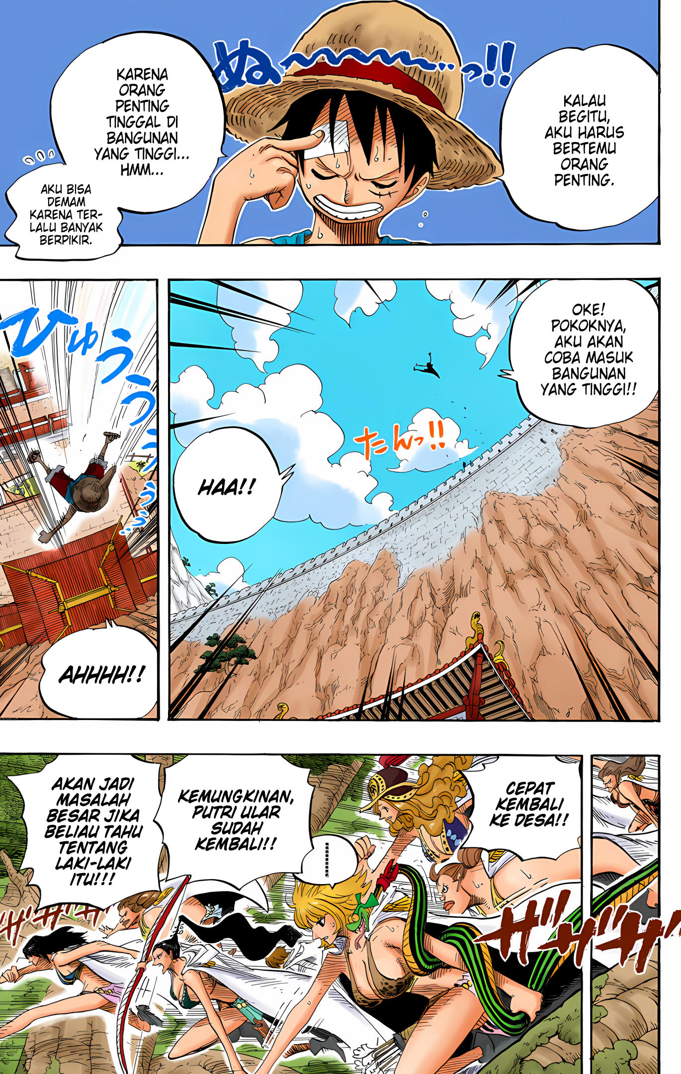 One Piece (Official Colored) Chapter 517 - halaman 17