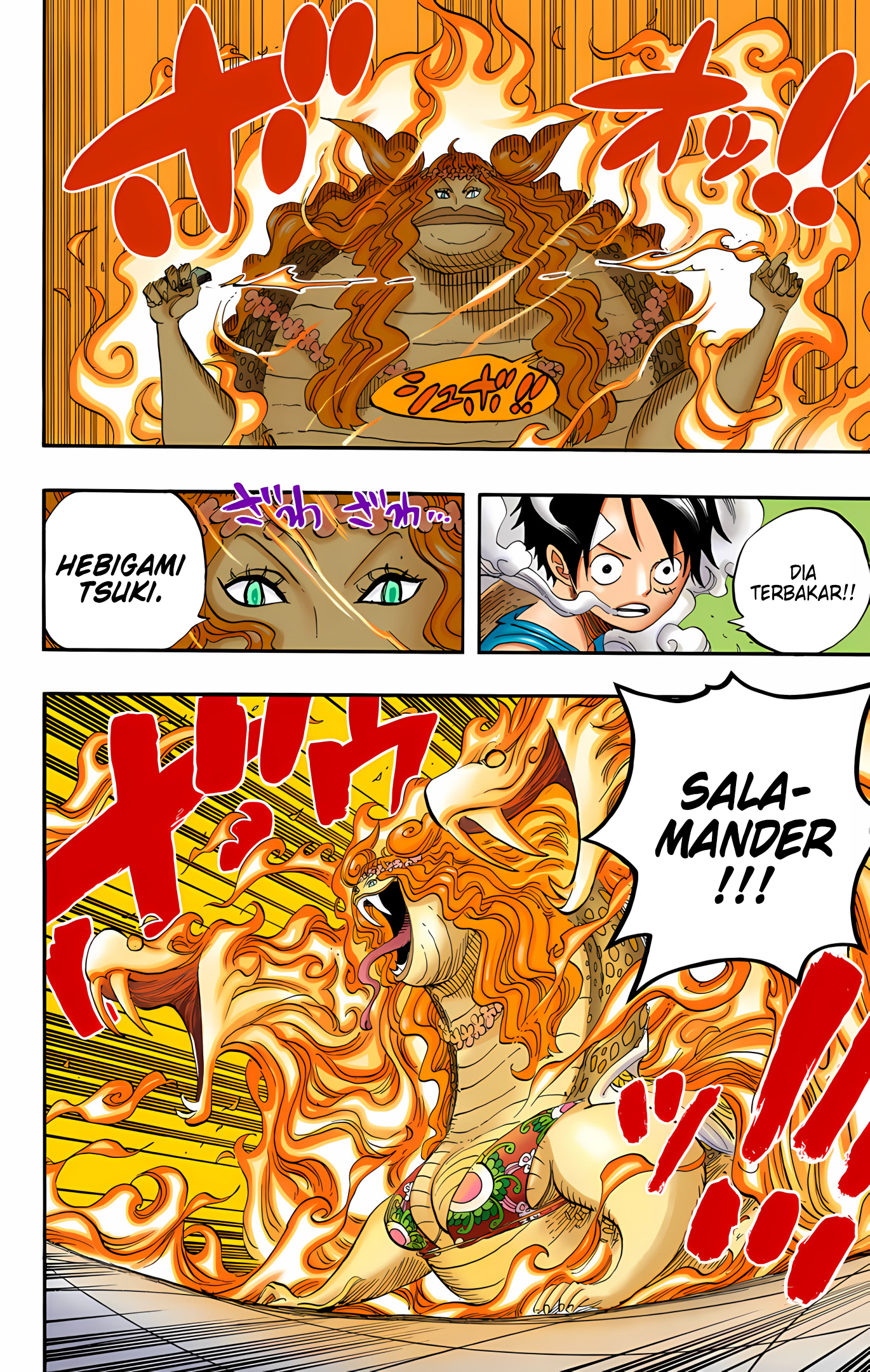 One Piece (Official Colored) Chapter 520 - halaman 10