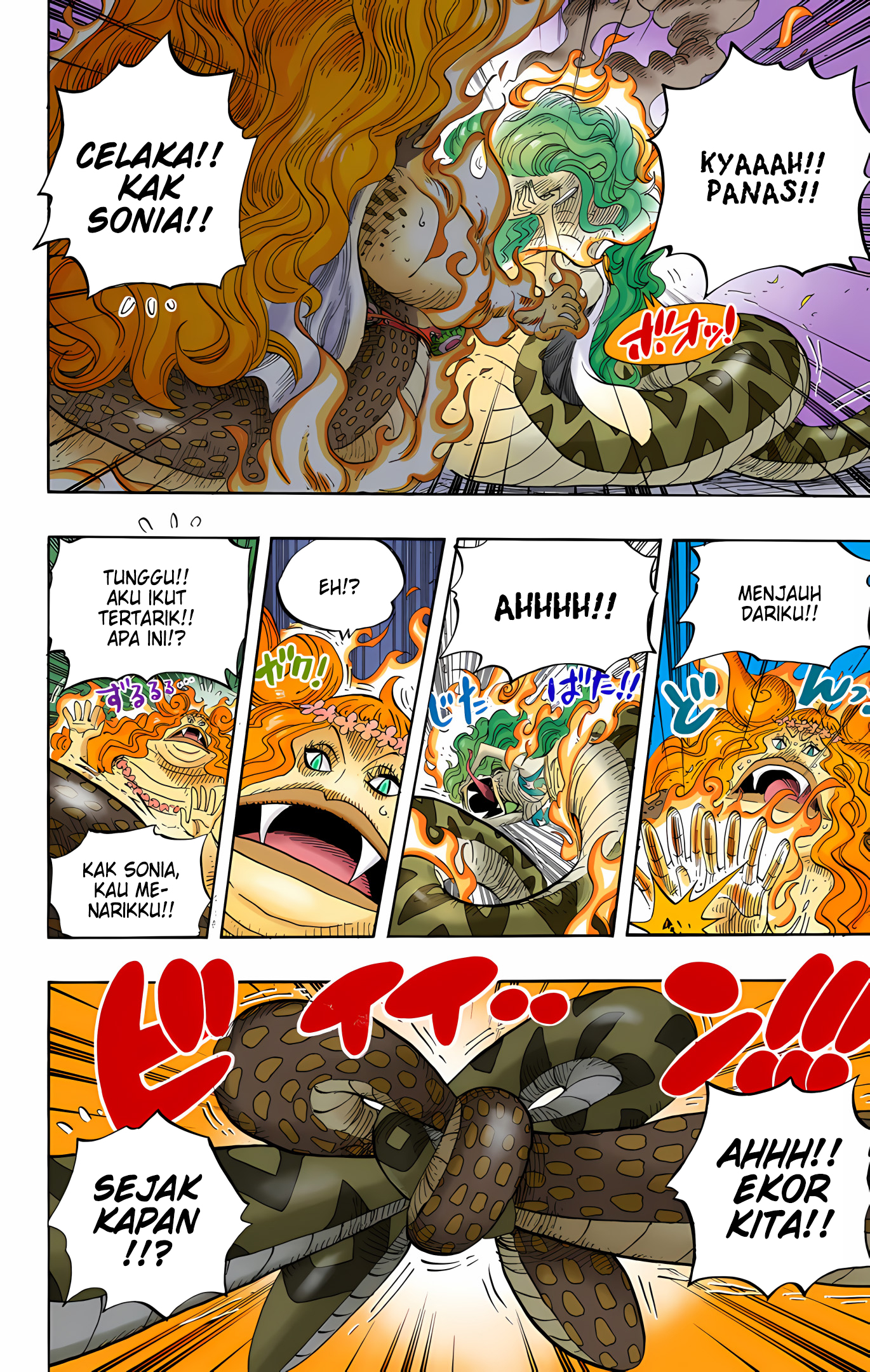 One Piece (Official Colored) Chapter 520 - halaman 13