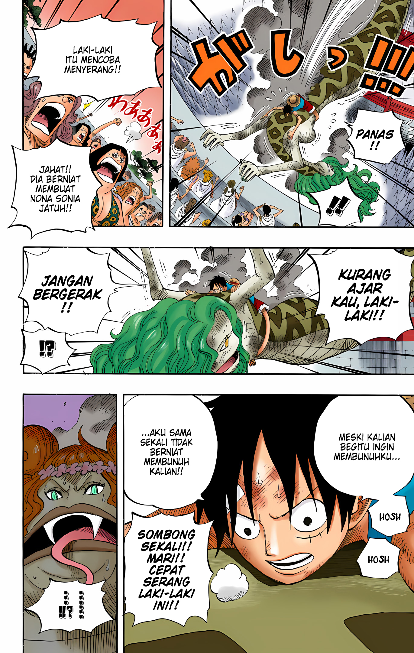 One Piece (Official Colored) Chapter 520 - halaman 15