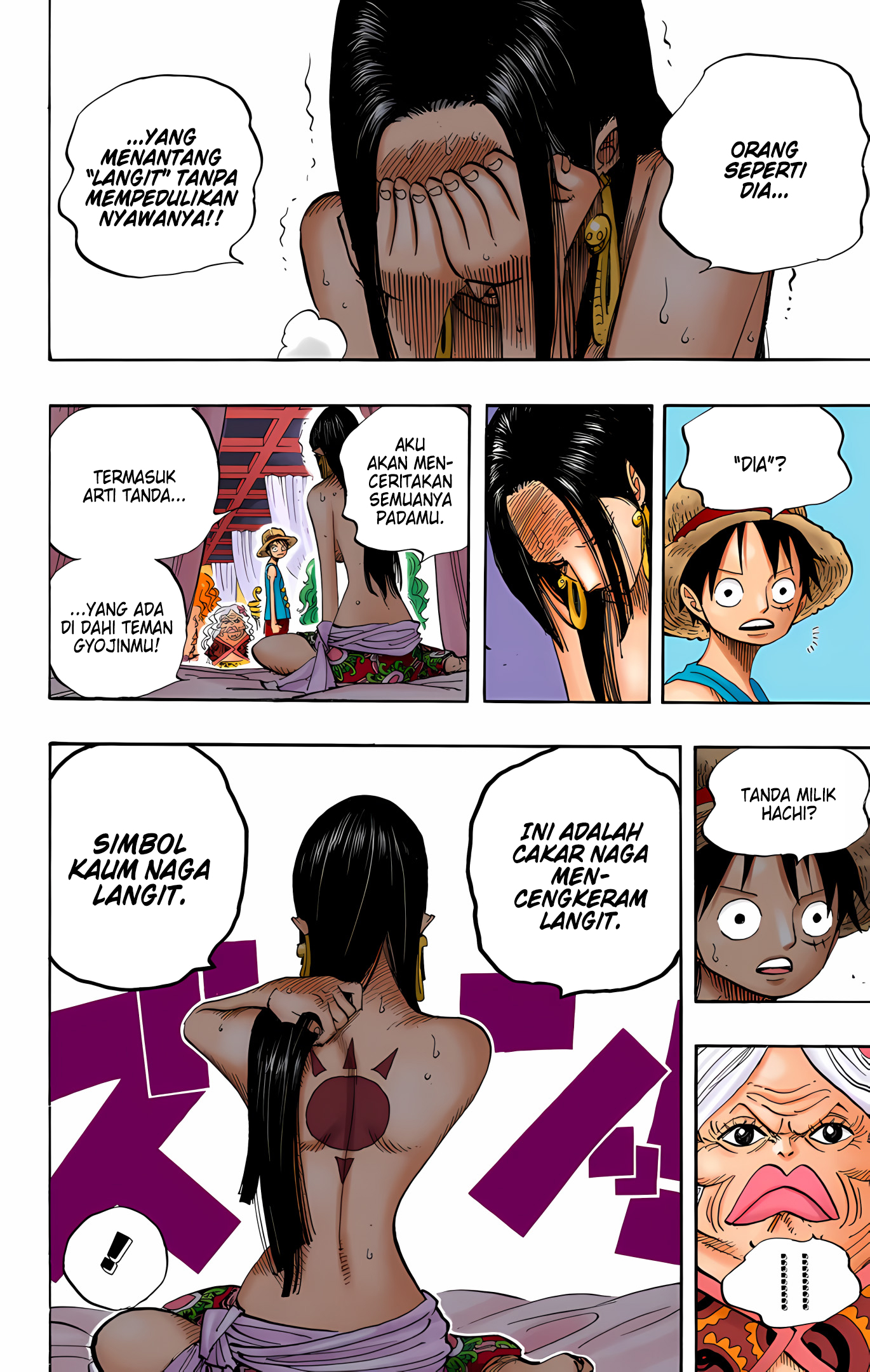 One Piece (Official Colored) Chapter 521 - halaman 12