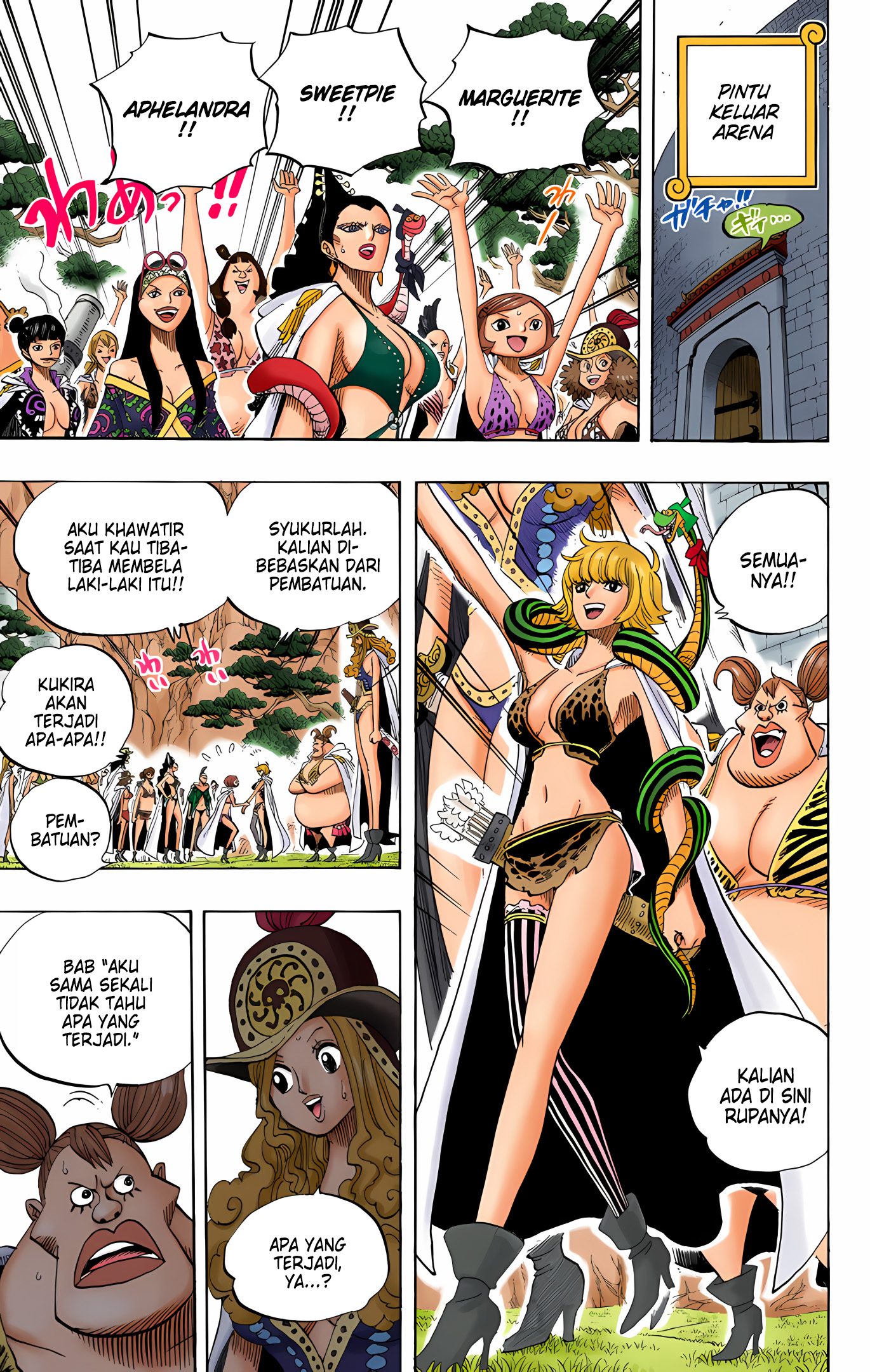 One Piece (Official Colored) Chapter 521 - halaman 5