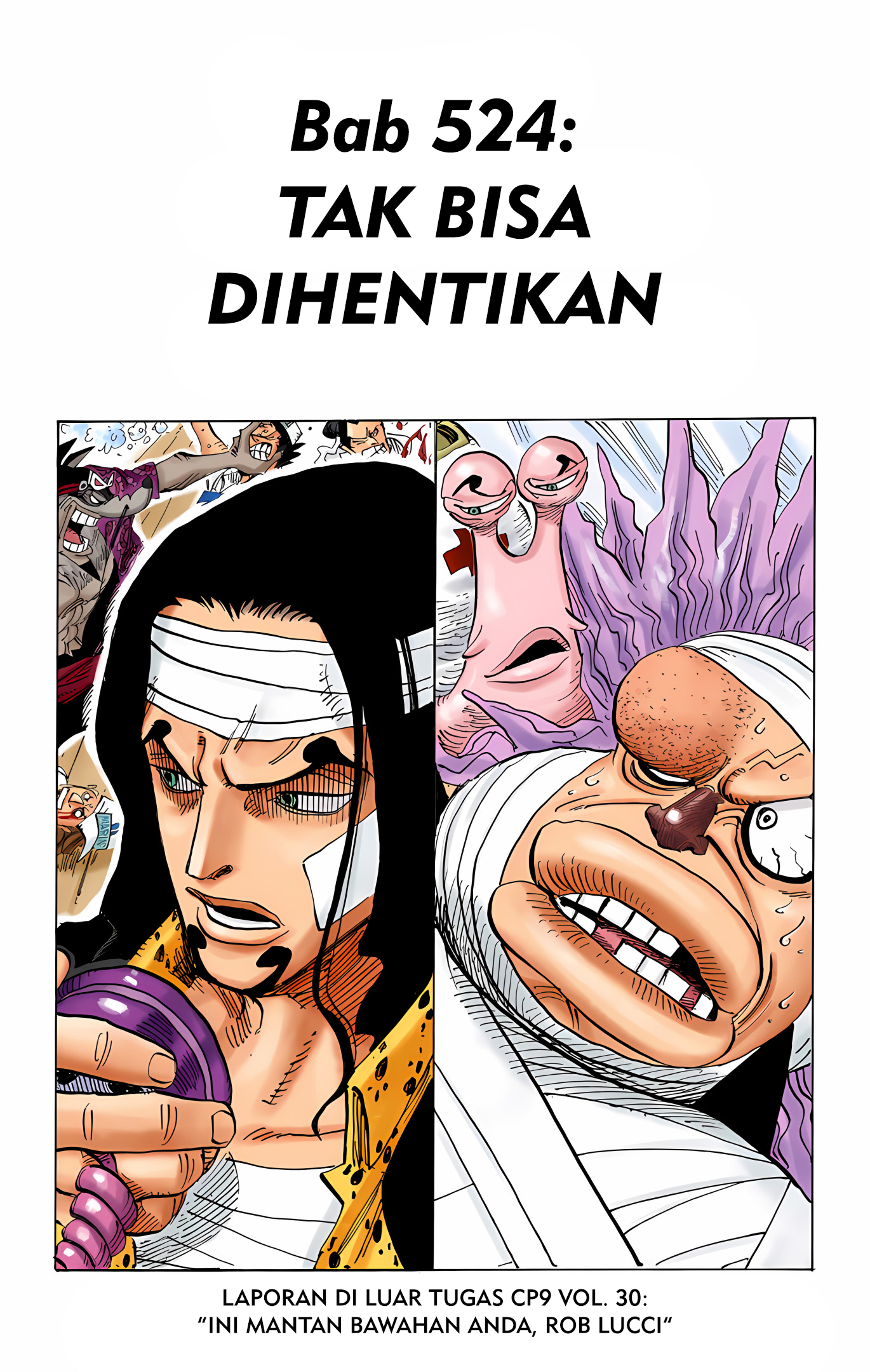 One Piece (Official Colored) Chapter 524 - halaman 1