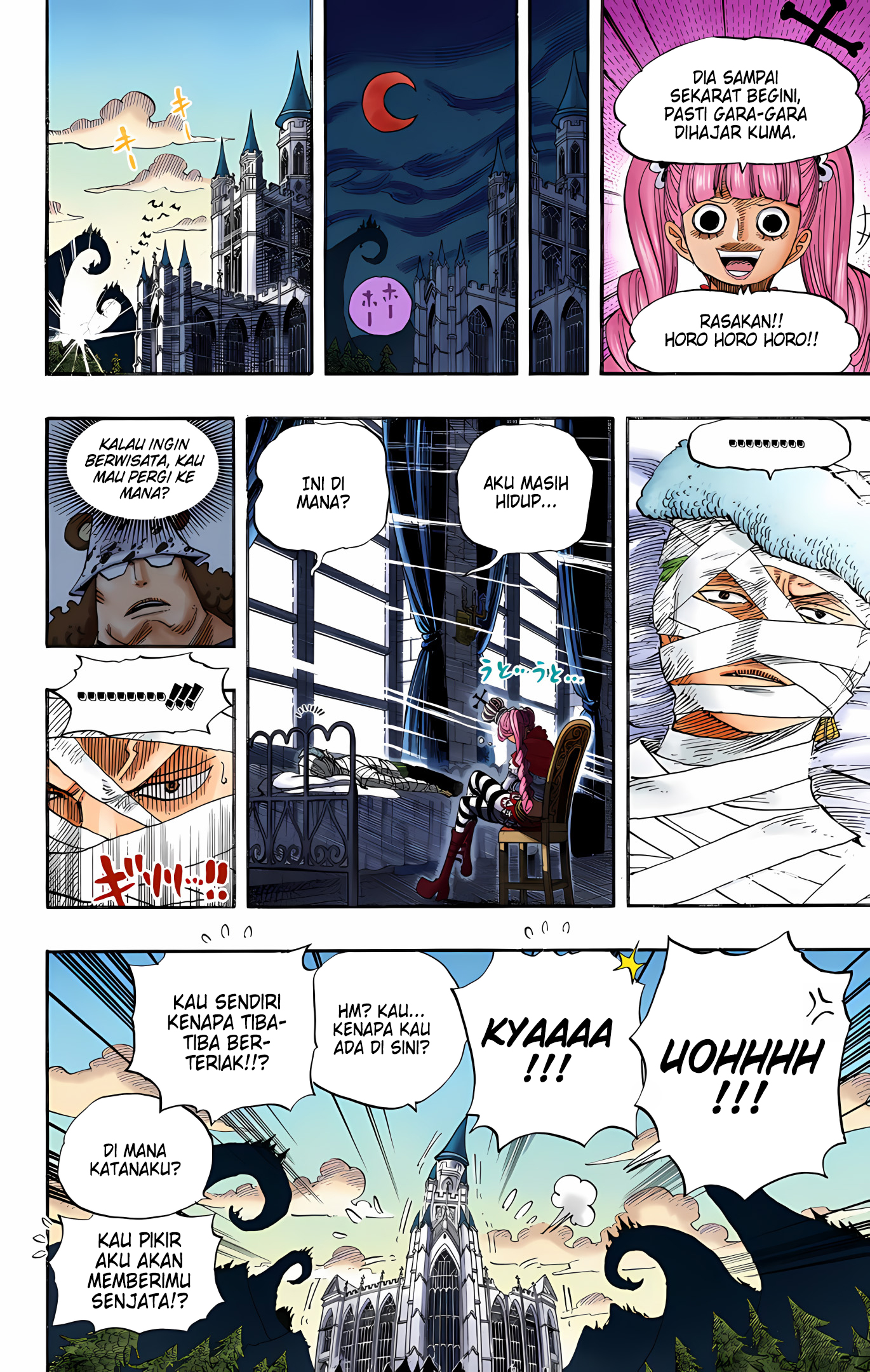 One Piece (Official Colored) Chapter 524 - halaman 12