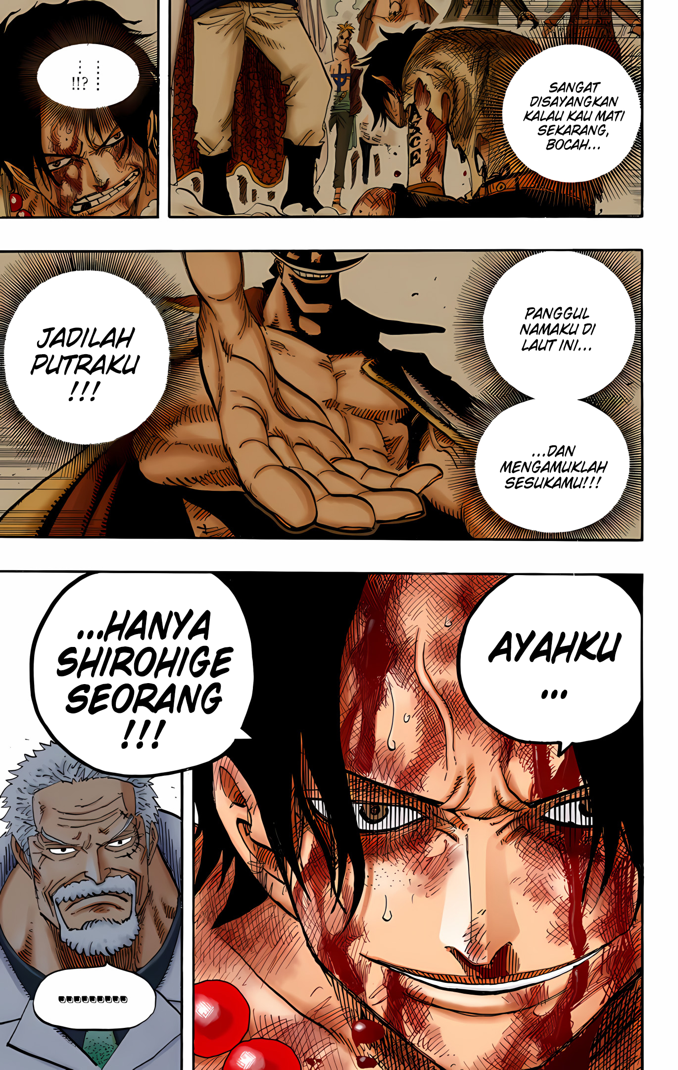 One Piece (Official Colored) Chapter 525 - halaman 3