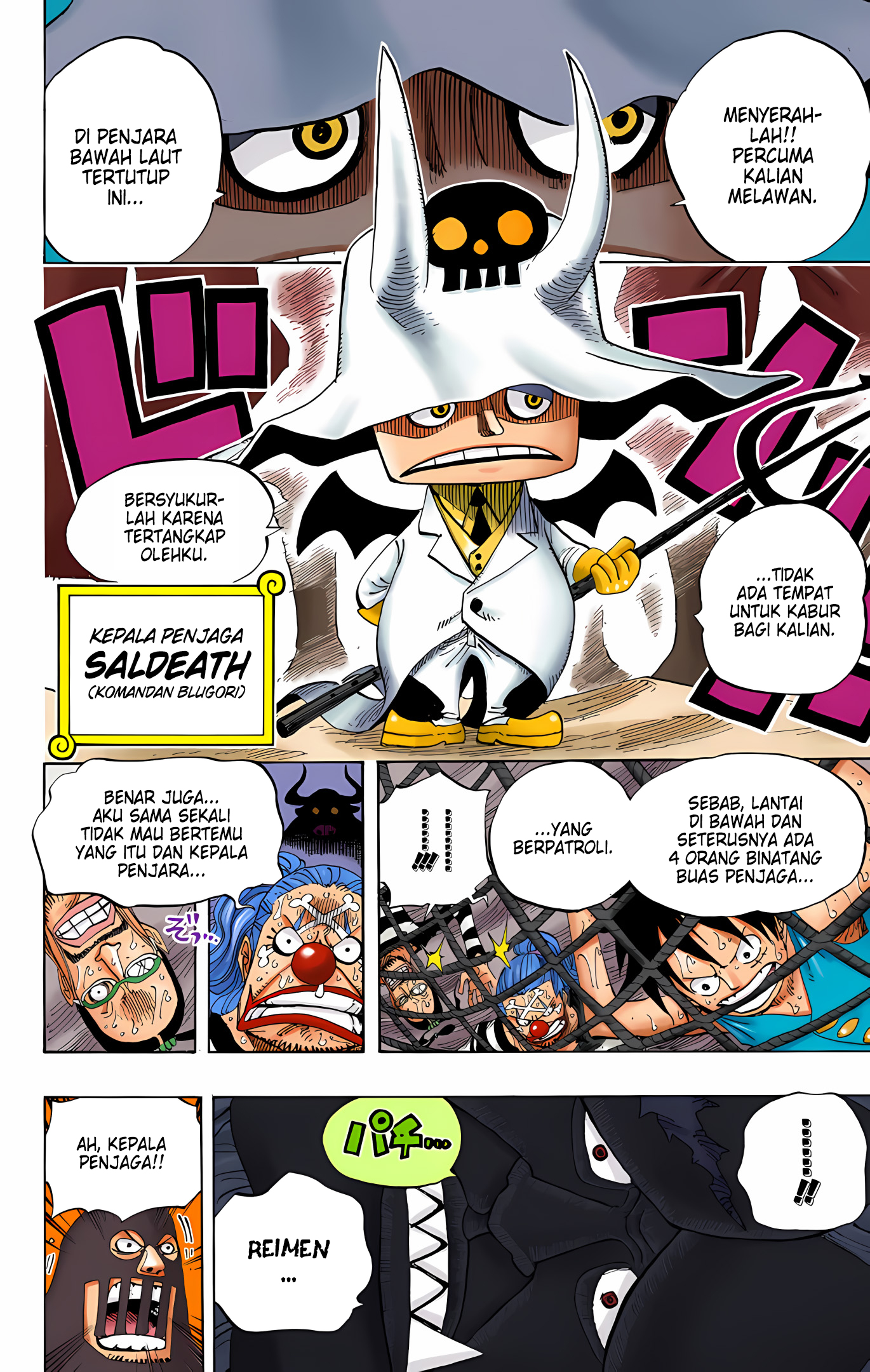 One Piece (Official Colored) Chapter 530 - halaman 12