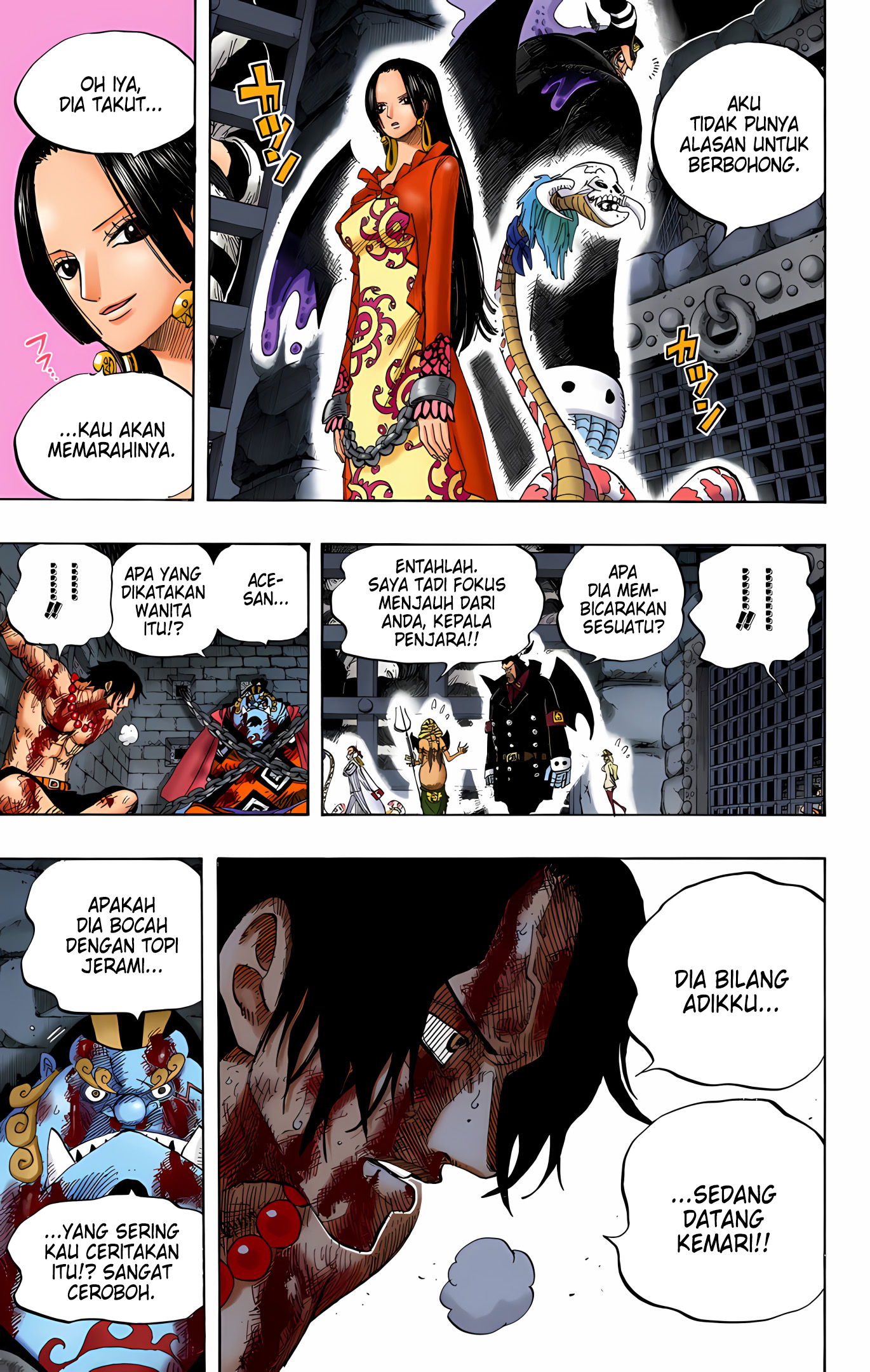 One Piece (Official Colored) Chapter 531 - halaman 12