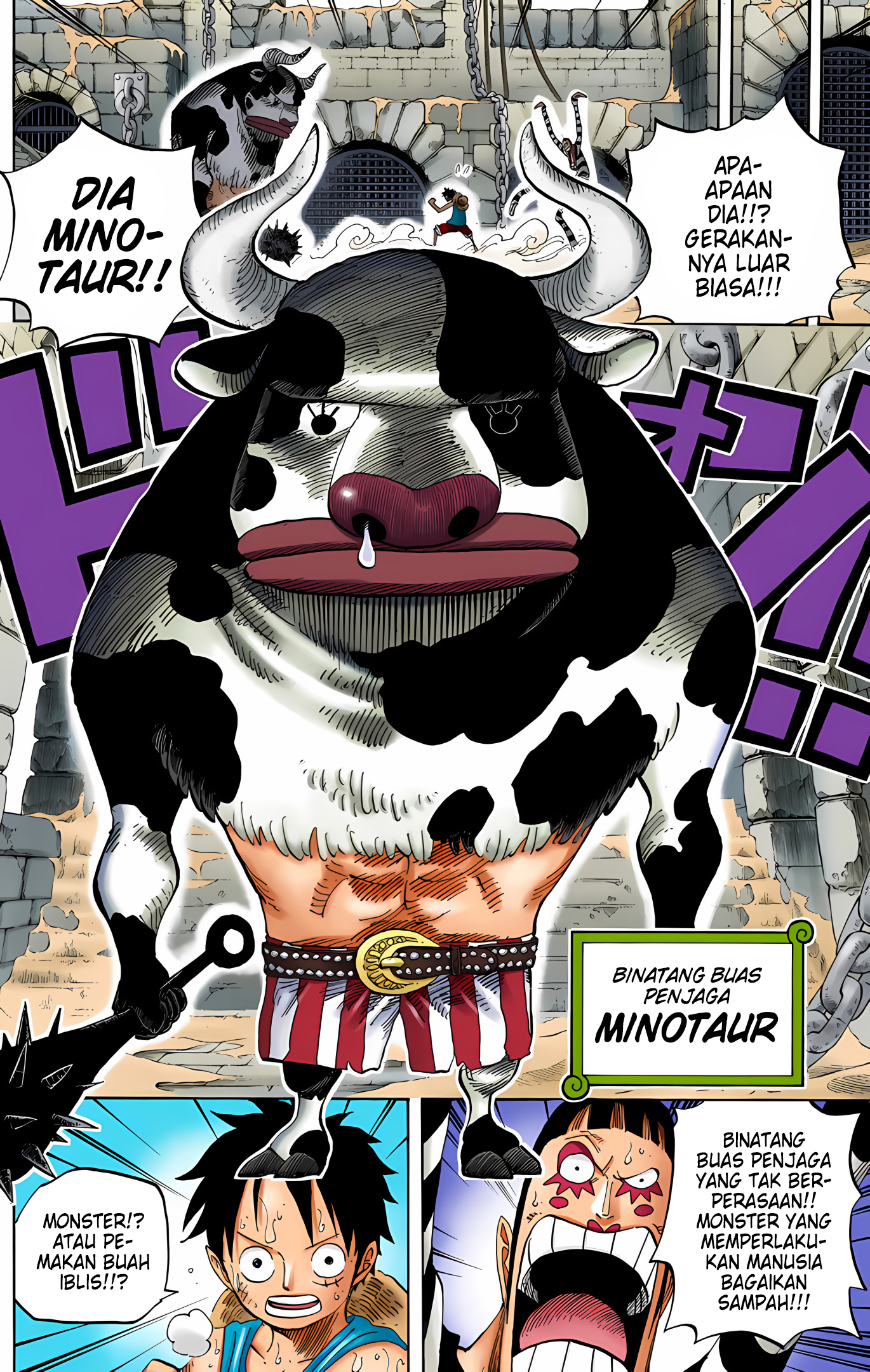 One Piece (Official Colored) Chapter 532 - halaman 6