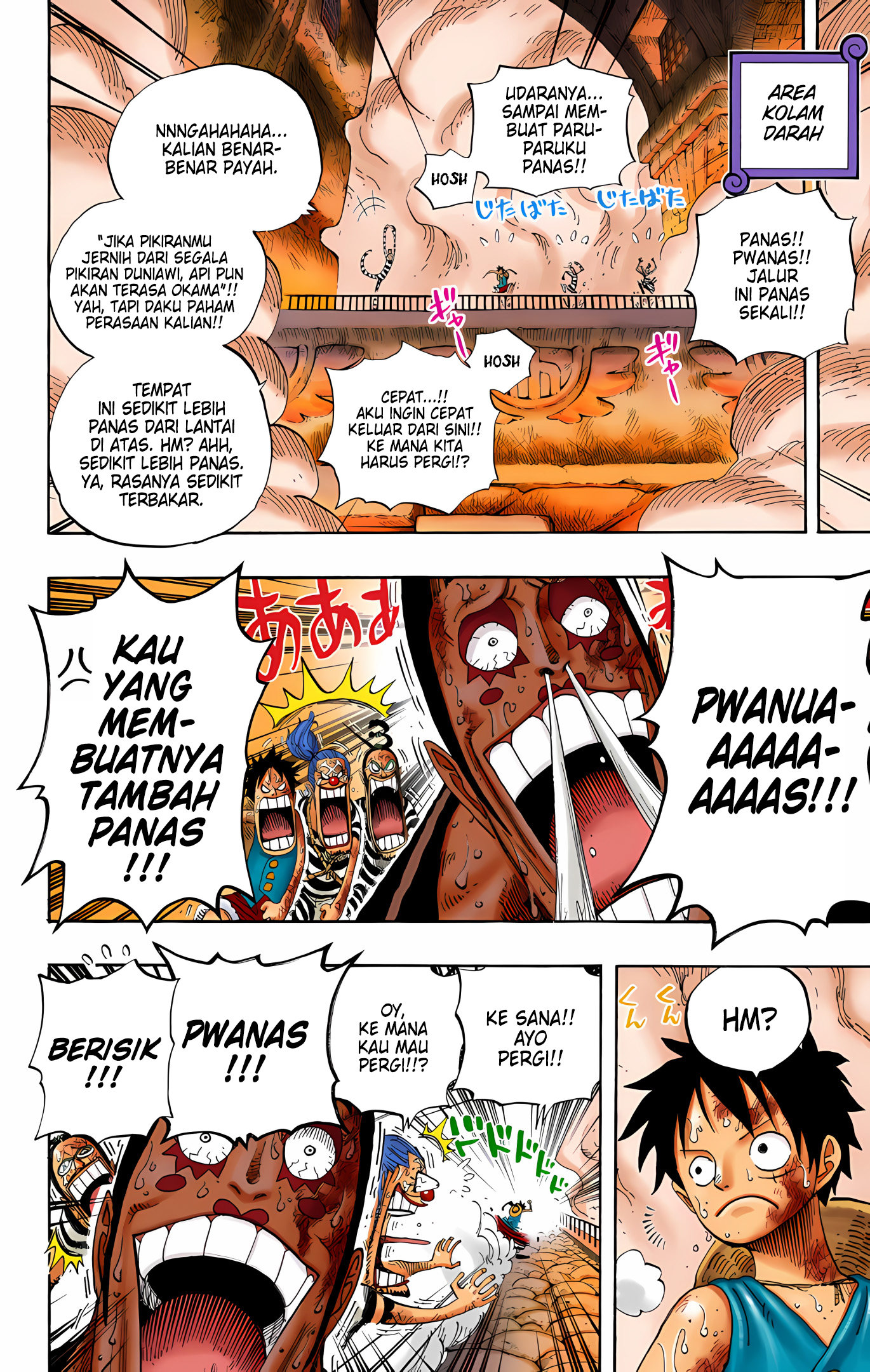 One Piece (Official Colored) Chapter 533 - halaman 16