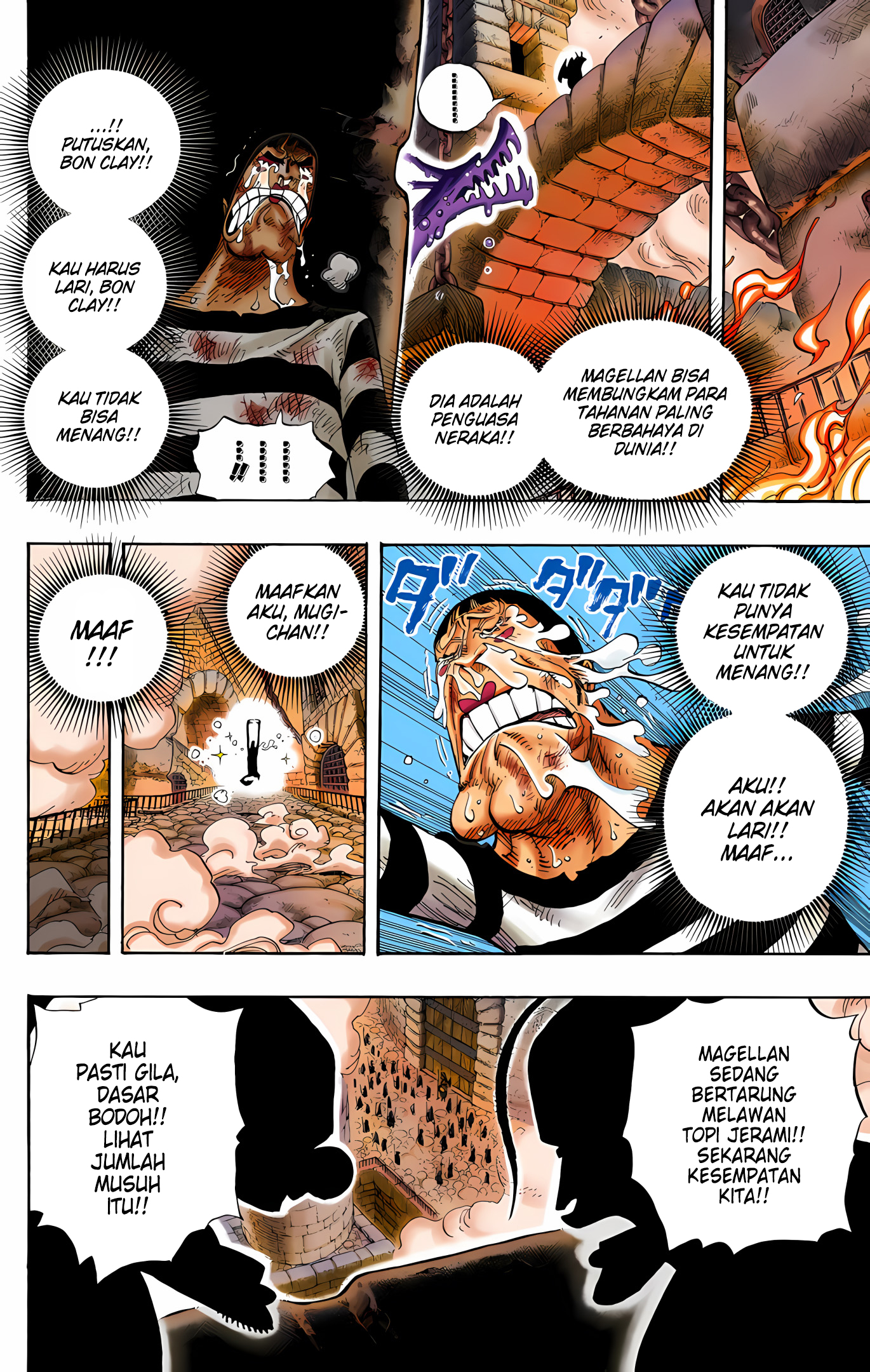 One Piece (Official Colored) Chapter 534 - halaman 15