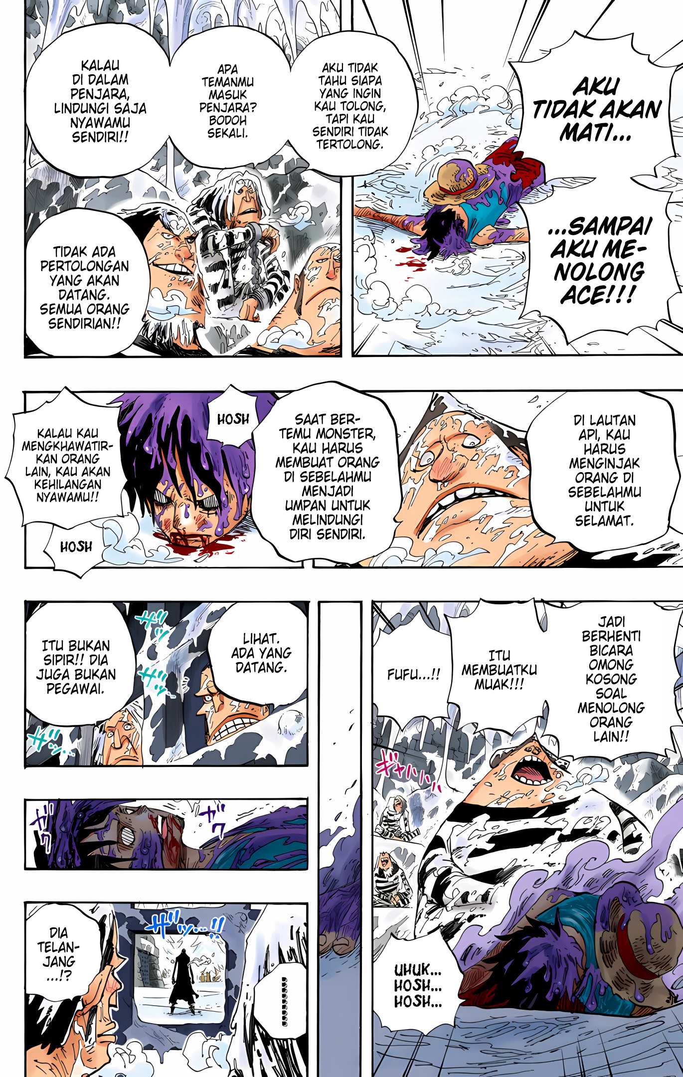 One Piece (Official Colored) Chapter 536 - halaman 10