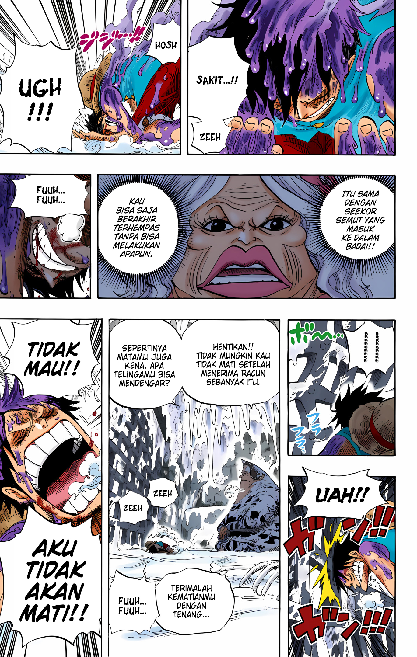 One Piece (Official Colored) Chapter 536 - halaman 9