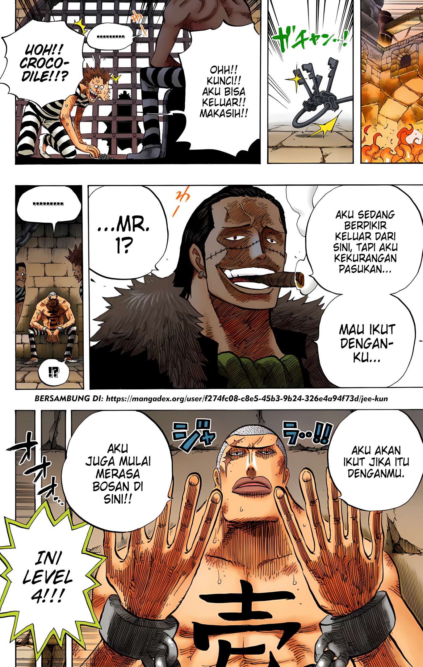 One Piece (Official Colored) Chapter 541 - halaman 15