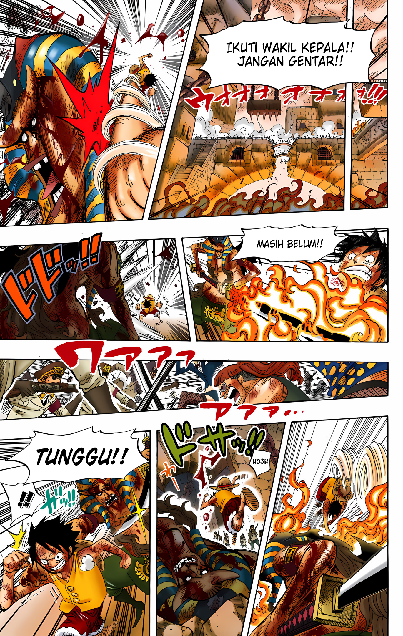 One Piece (Official Colored) Chapter 543 - halaman 11