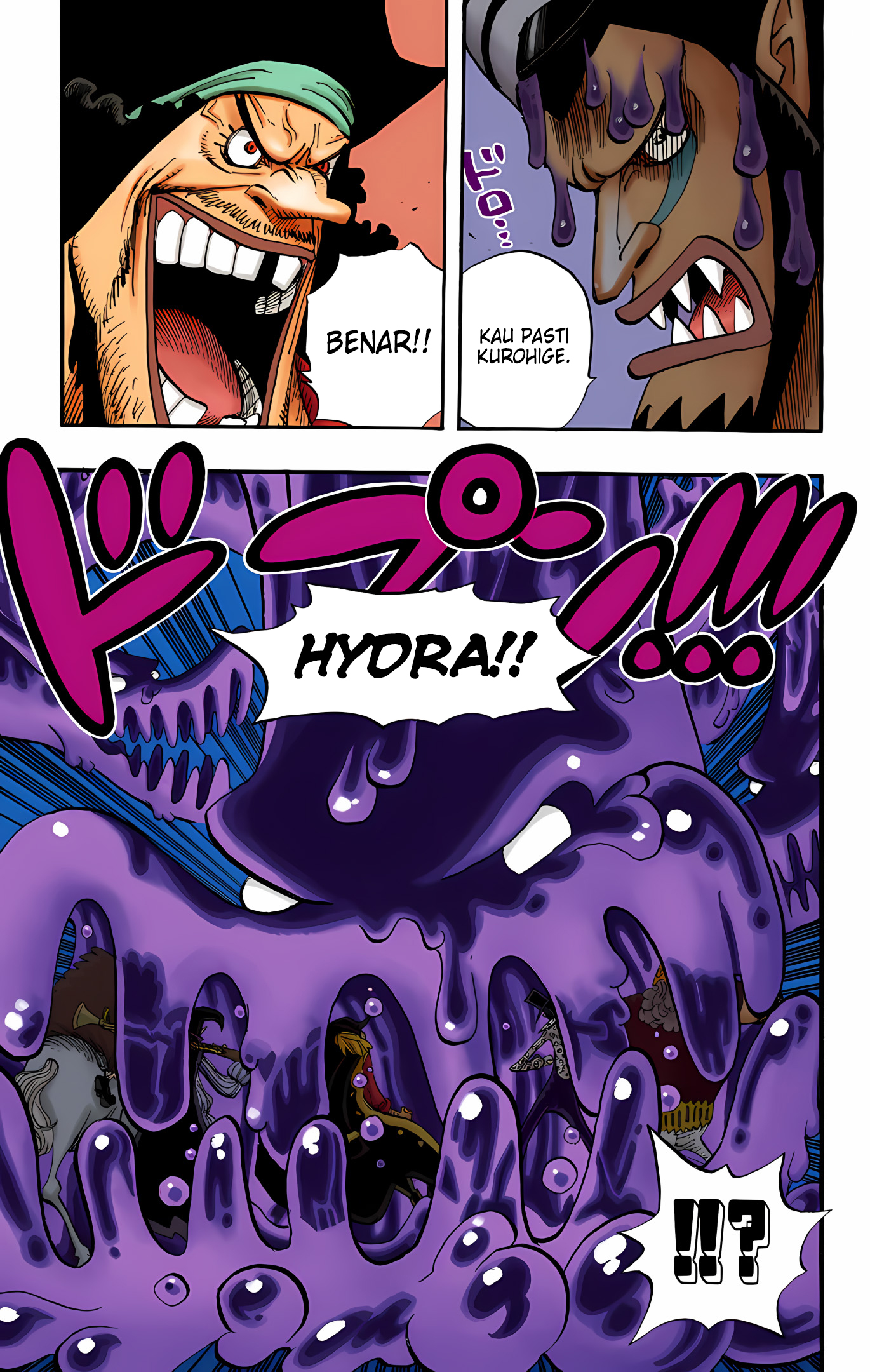 One Piece (Official Colored) Chapter 544 - halaman 17
