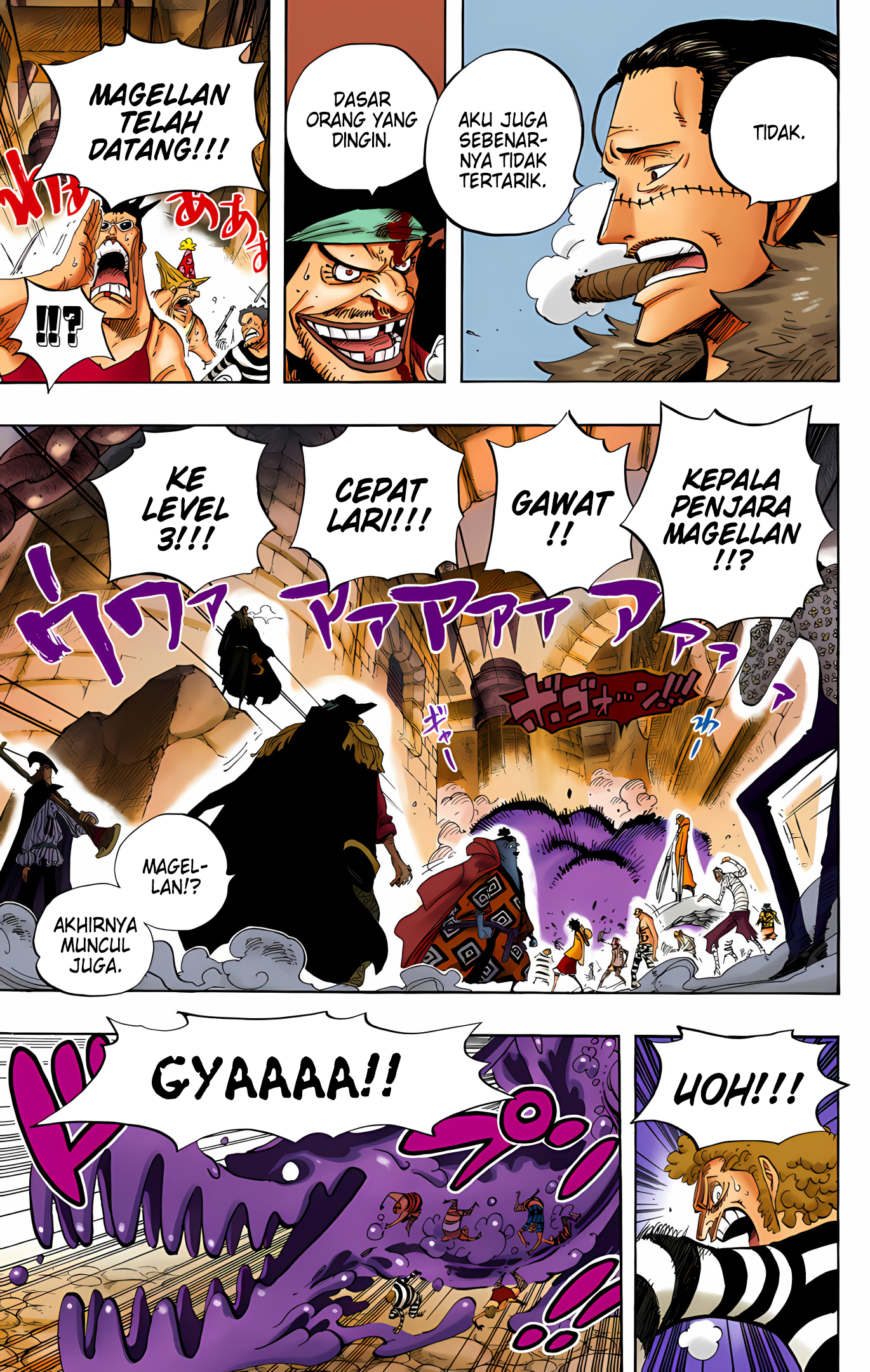 One Piece (Official Colored) Chapter 544 - halaman 9