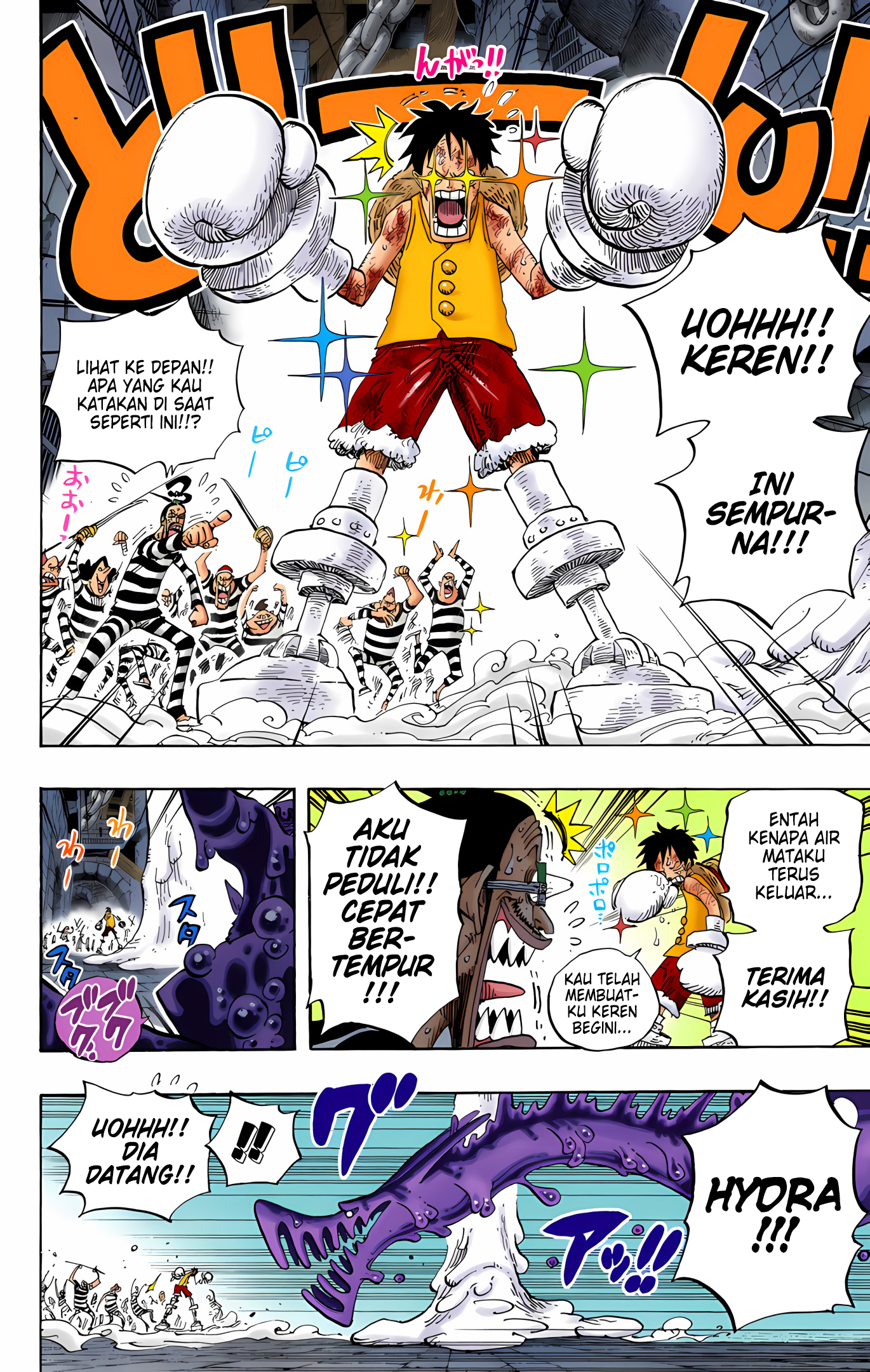 One Piece (Official Colored) Chapter 546 - halaman 4