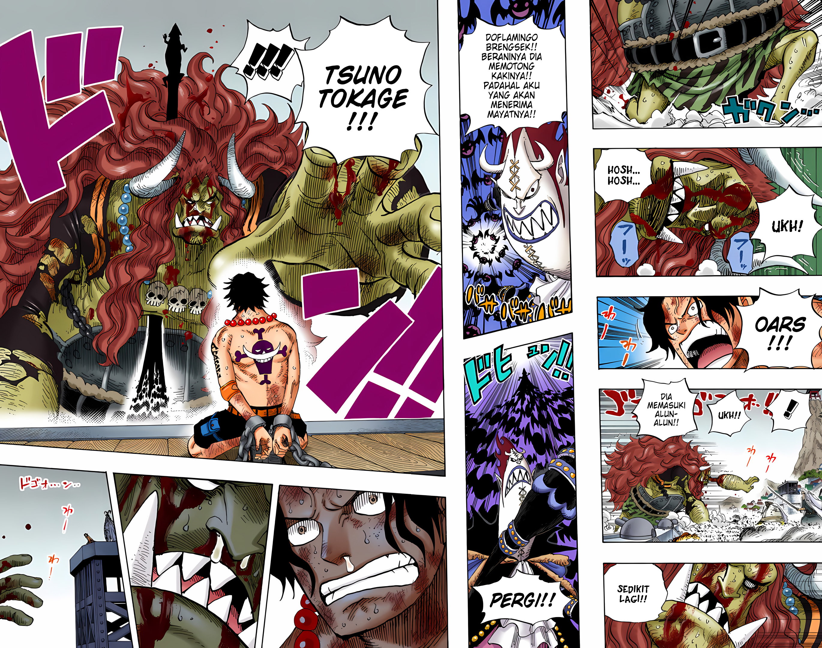 One Piece (Official Colored) Chapter 555 - halaman 11