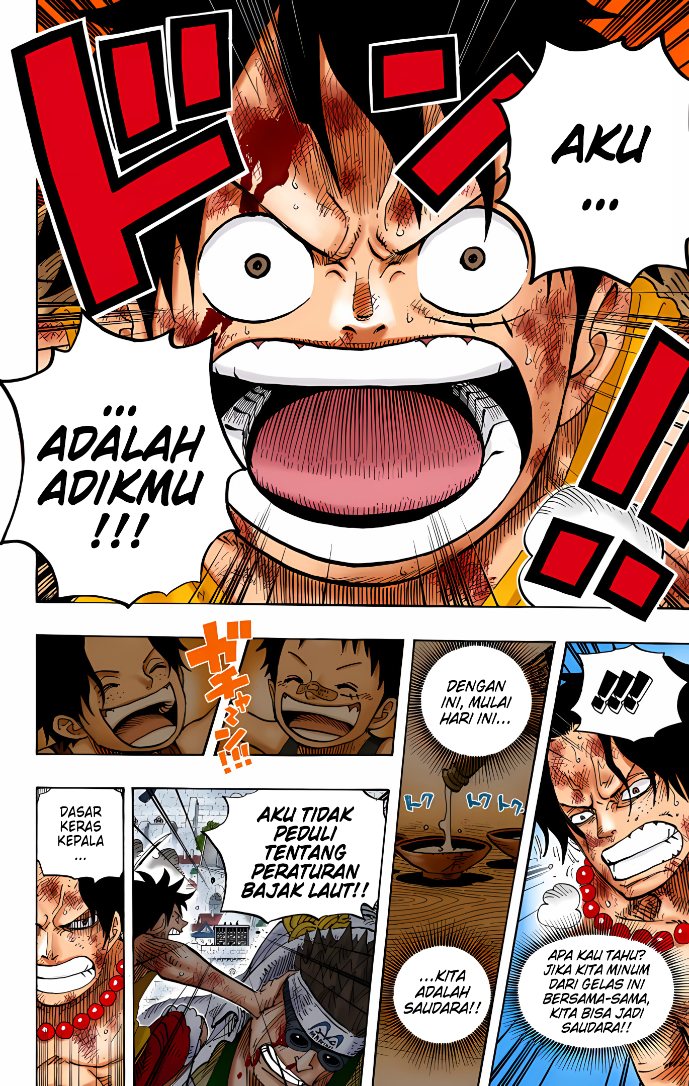 One Piece (Official Colored) Chapter 558 - halaman 10