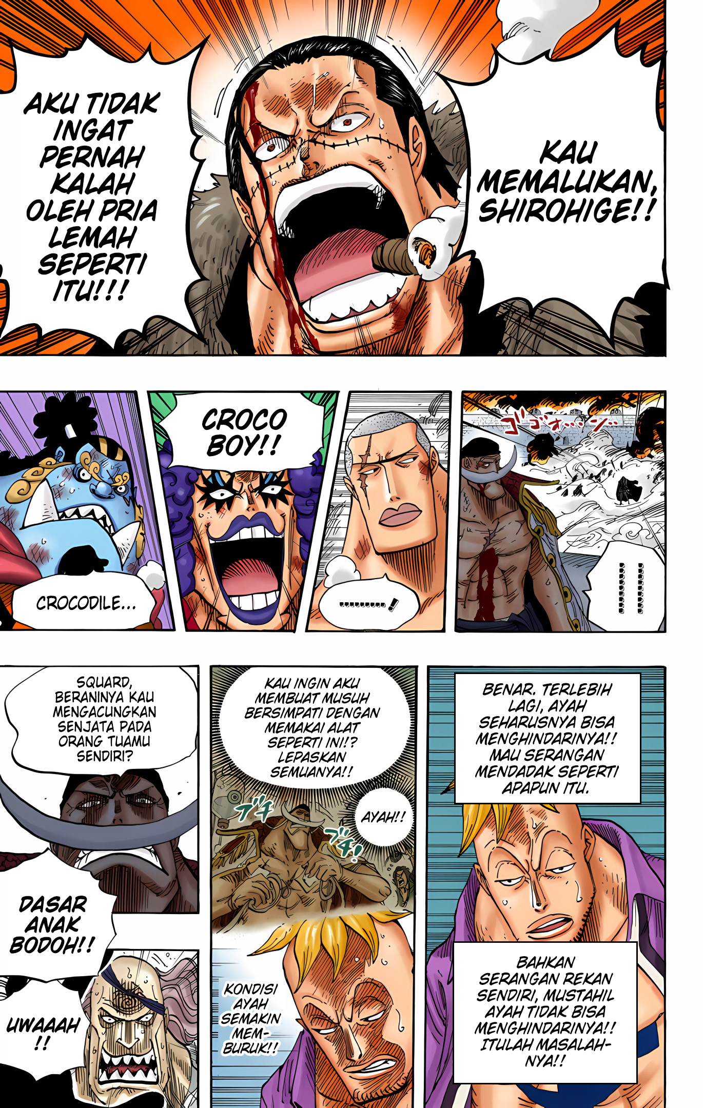 One Piece (Official Colored) Chapter 563 - halaman 14
