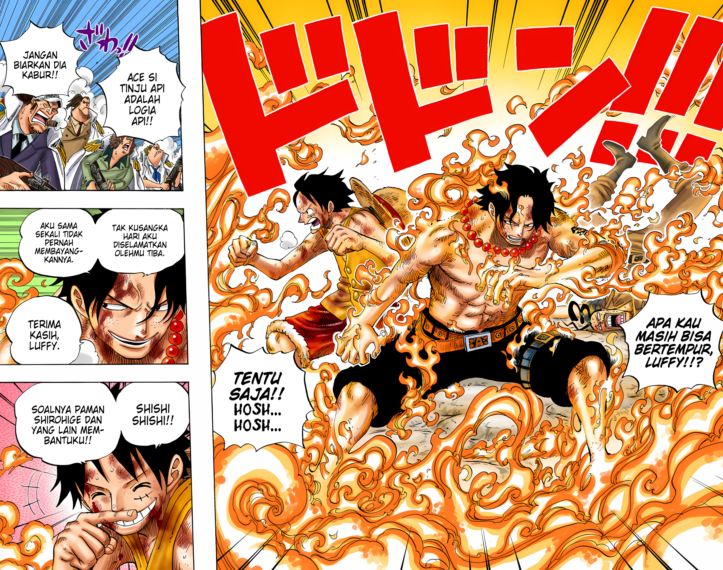 One Piece (Official Colored) Chapter 572 - halaman 3