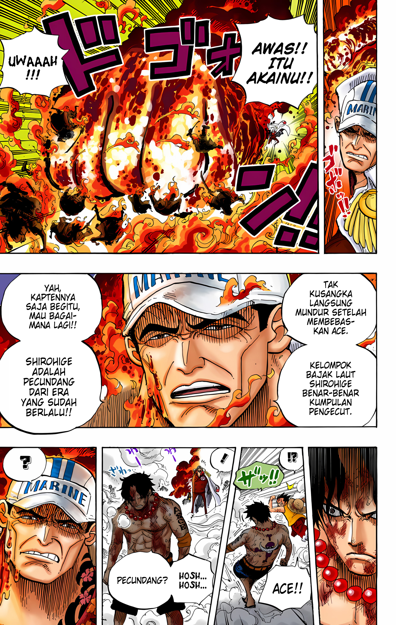 One Piece (Official Colored) Chapter 573 - halaman 10