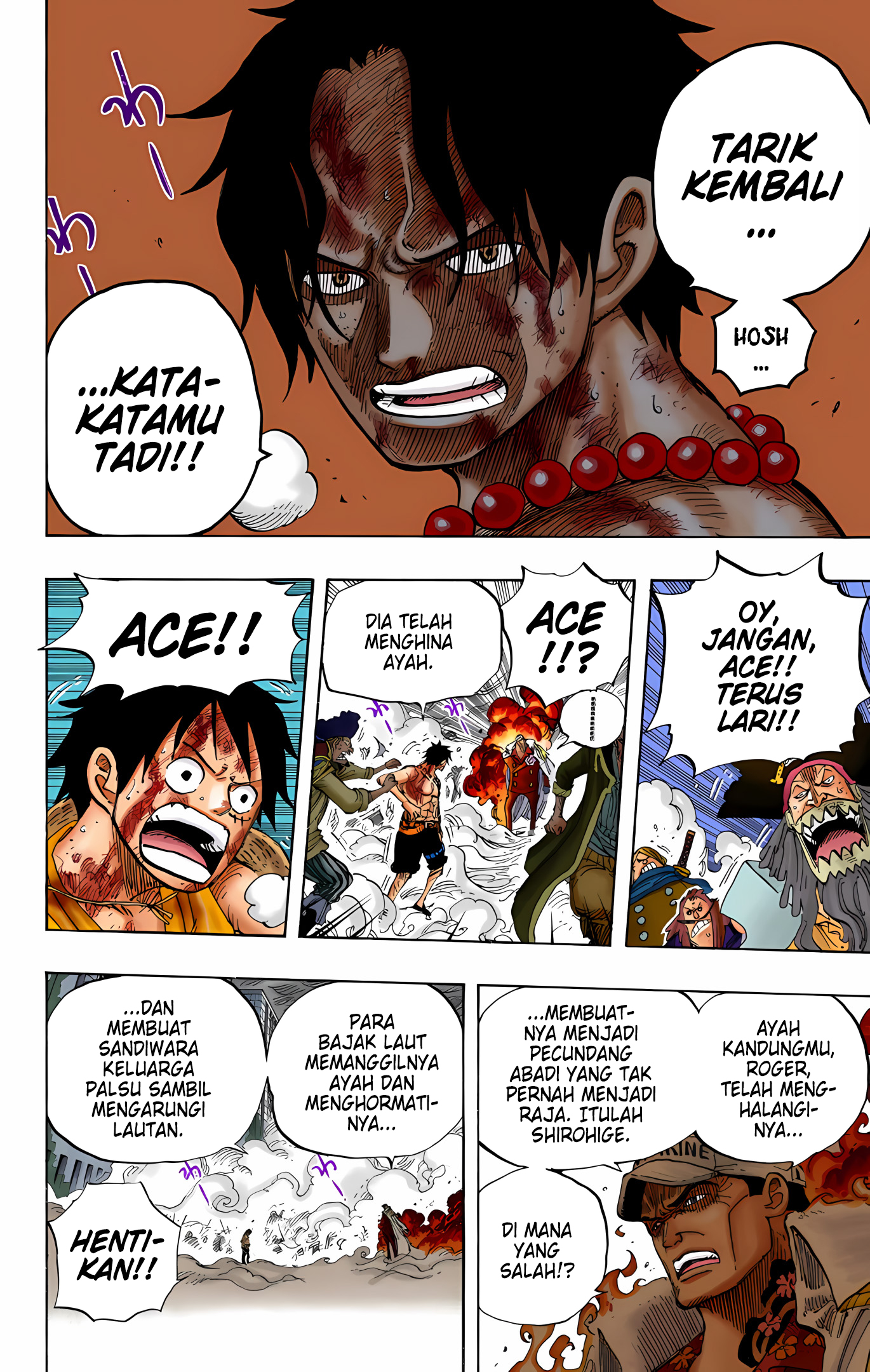 One Piece (Official Colored) Chapter 573 - halaman 11