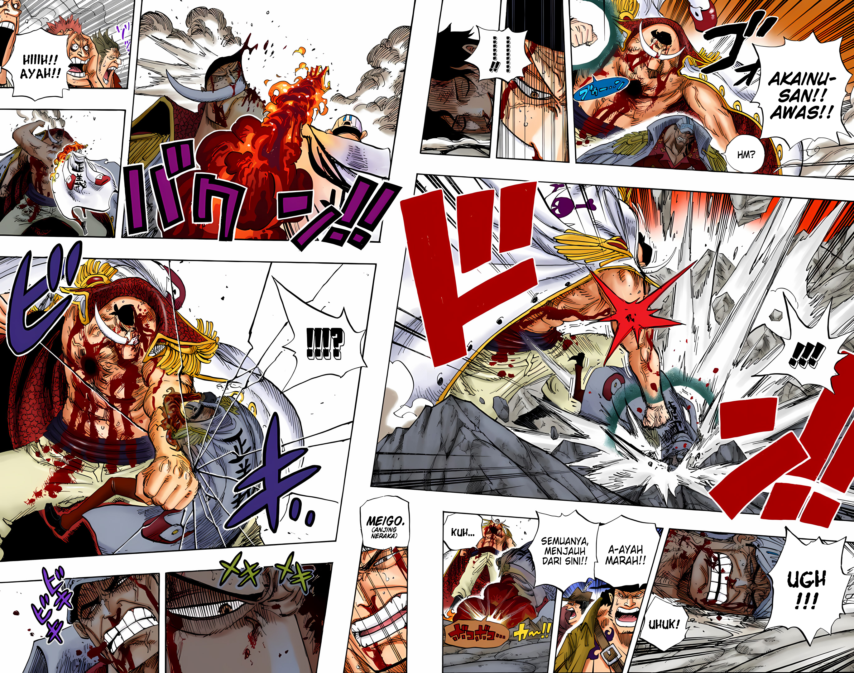 One Piece (Official Colored) Chapter 575 - halaman 5