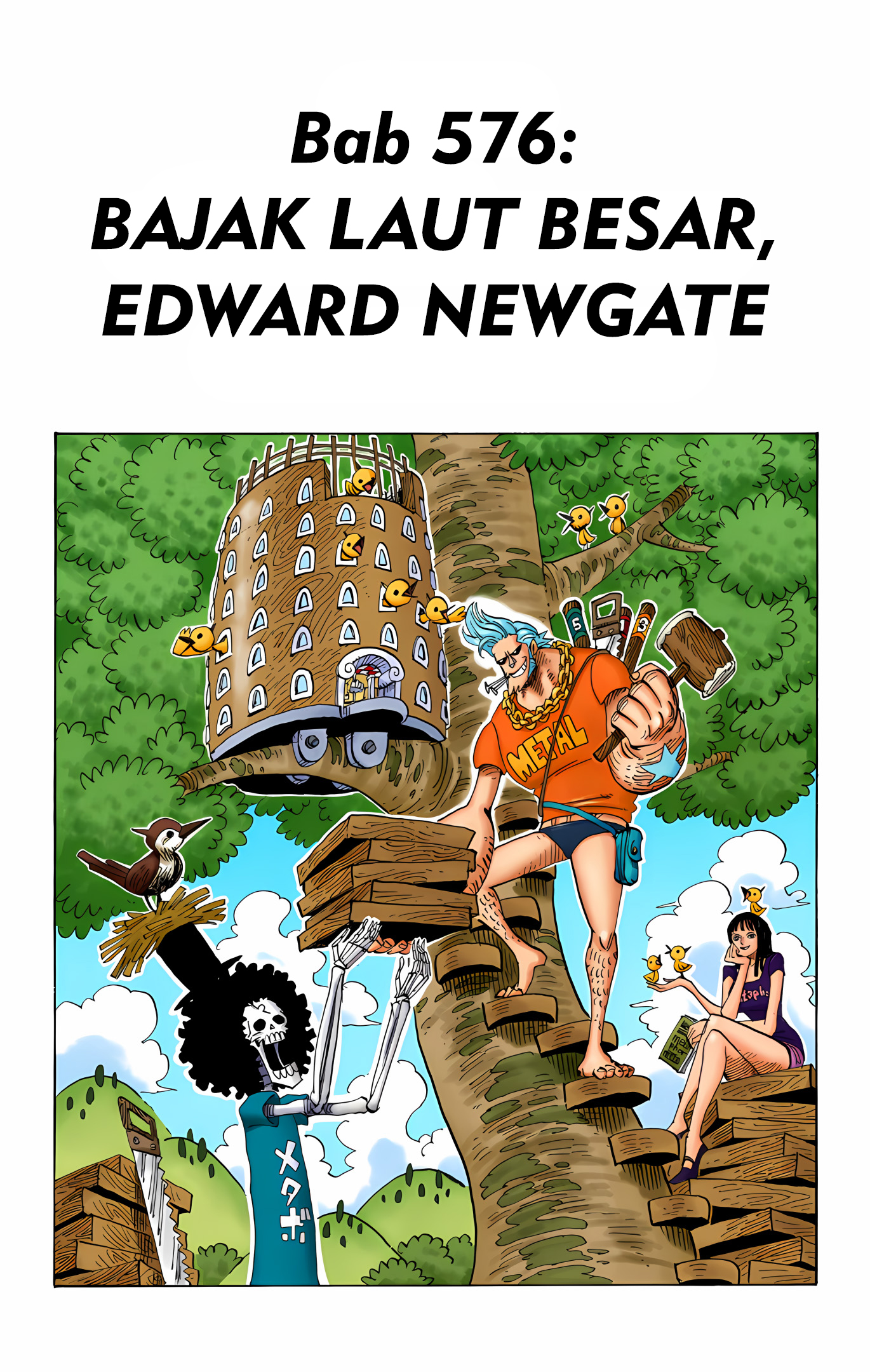 One Piece (Official Colored) Chapter 576 - halaman 1
