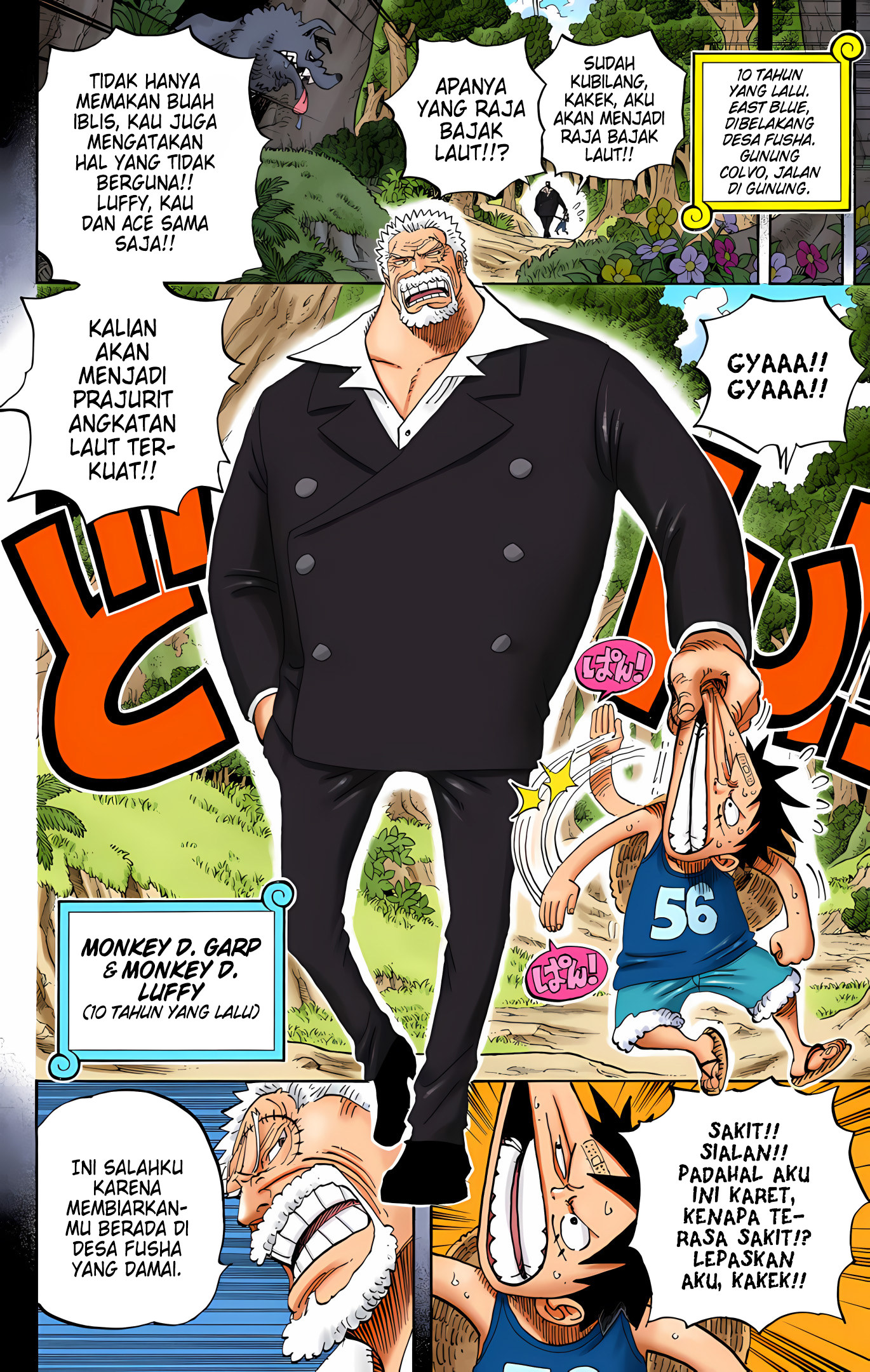 One Piece (Official Colored) Chapter 582 - halaman 16