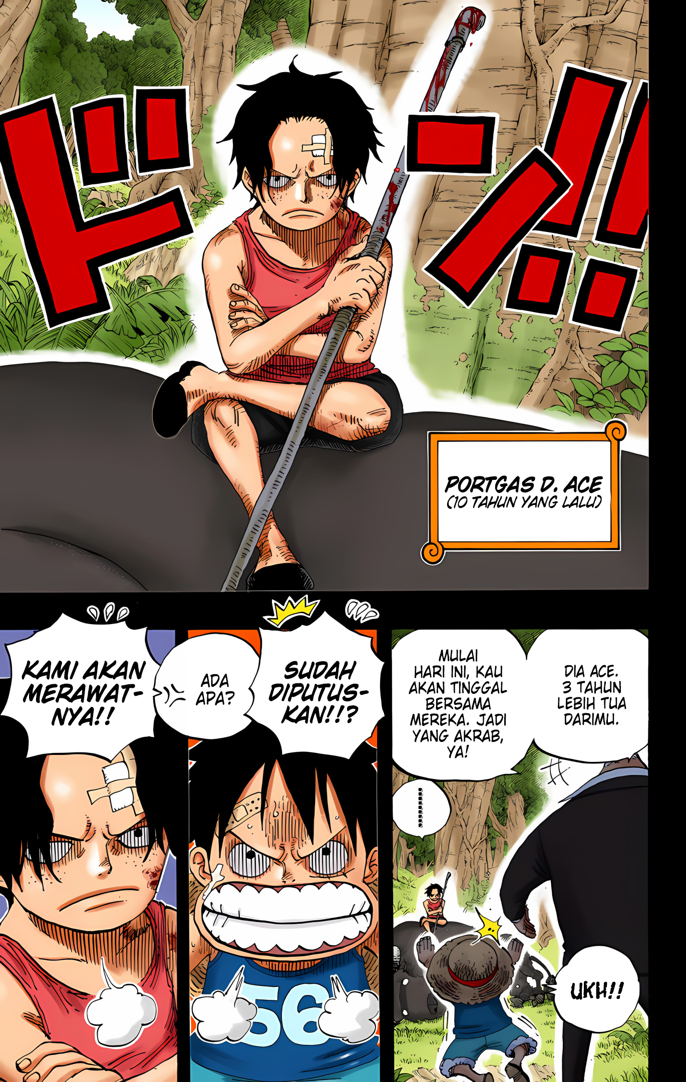 One Piece (Official Colored) Chapter 582 - halaman 19