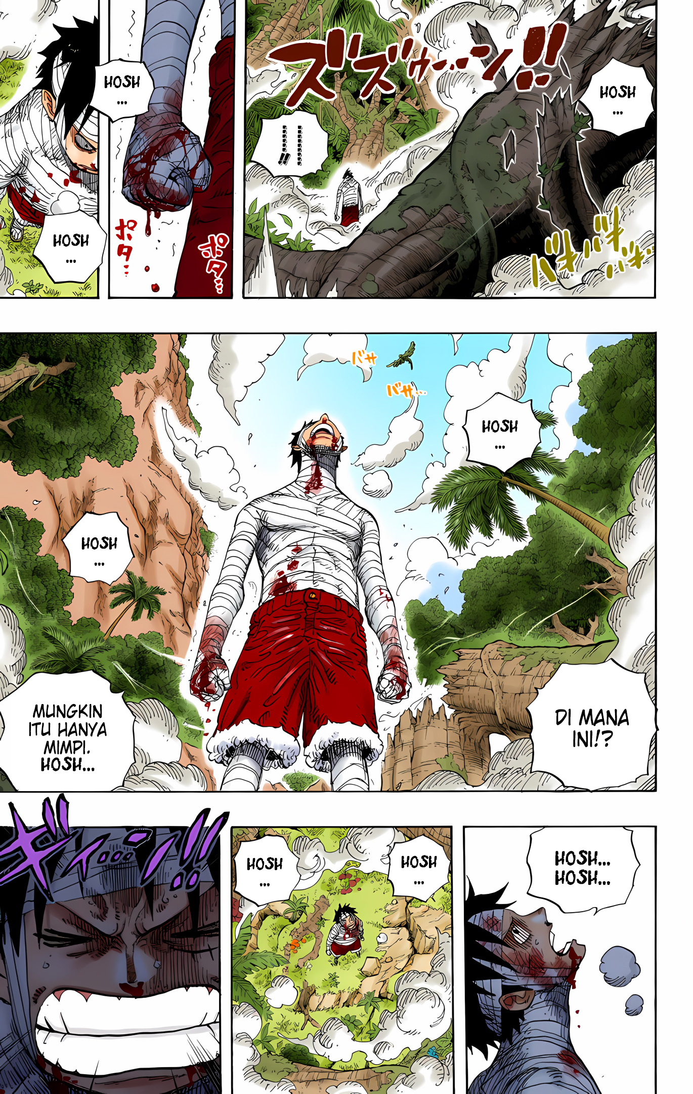 One Piece (Official Colored) Chapter 582 - halaman 9