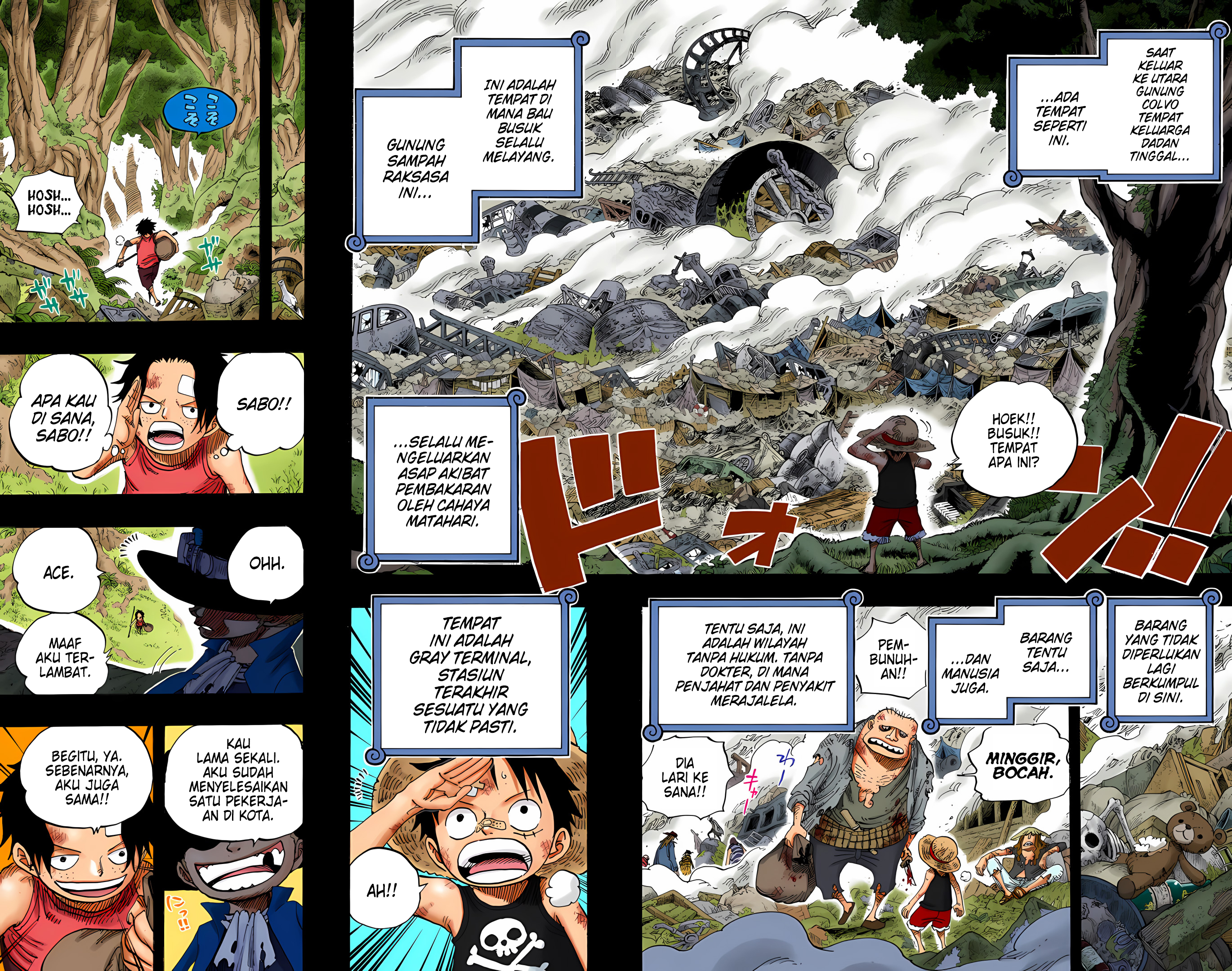 One Piece (Official Colored) Chapter 583 - halaman 10