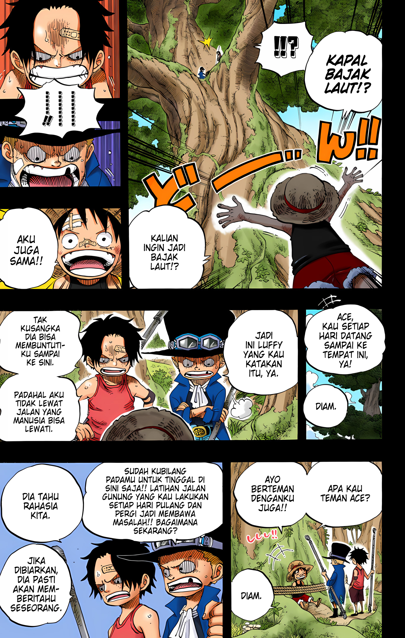 One Piece (Official Colored) Chapter 583 - halaman 12
