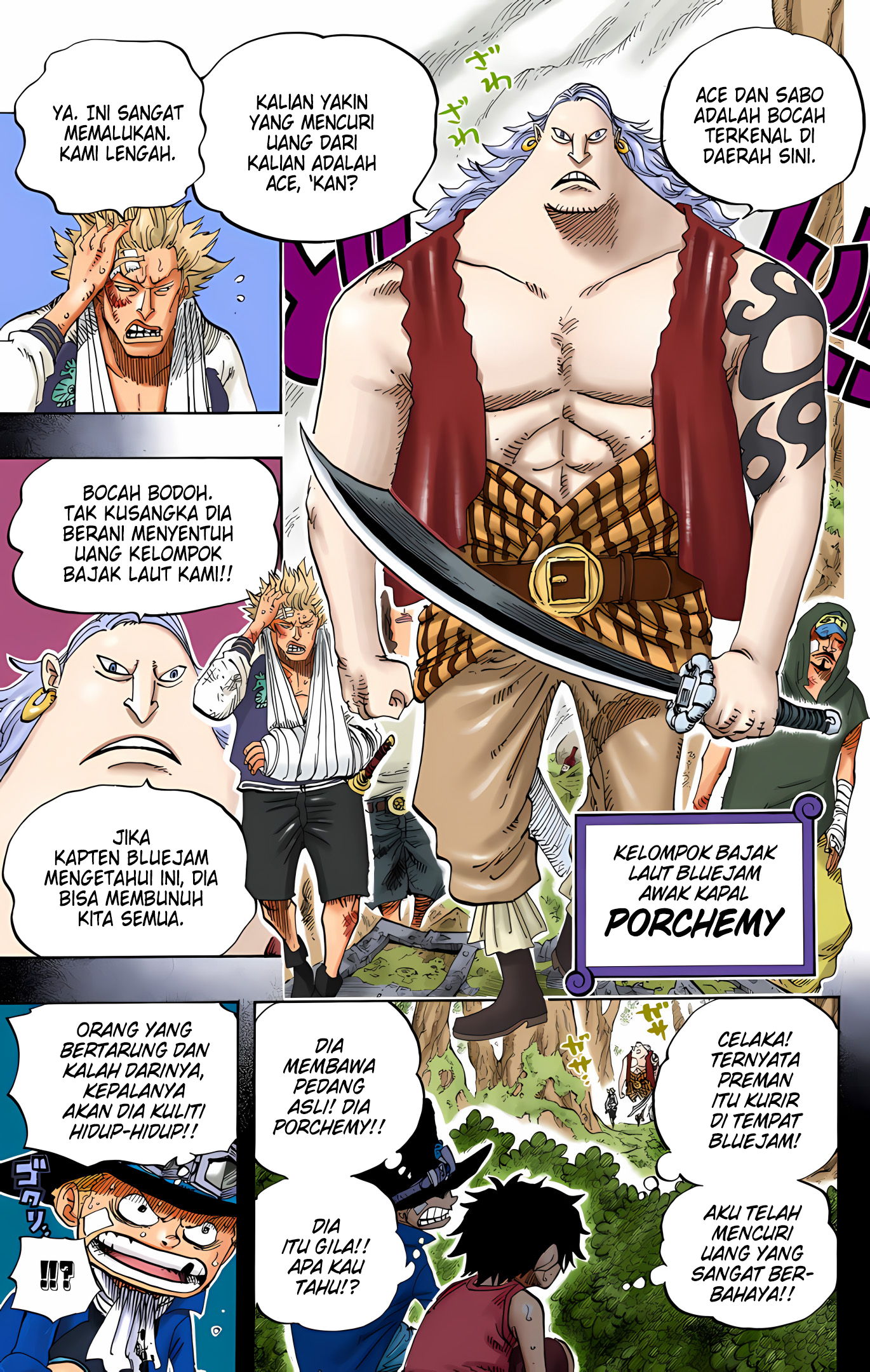 One Piece (Official Colored) Chapter 583 - halaman 14