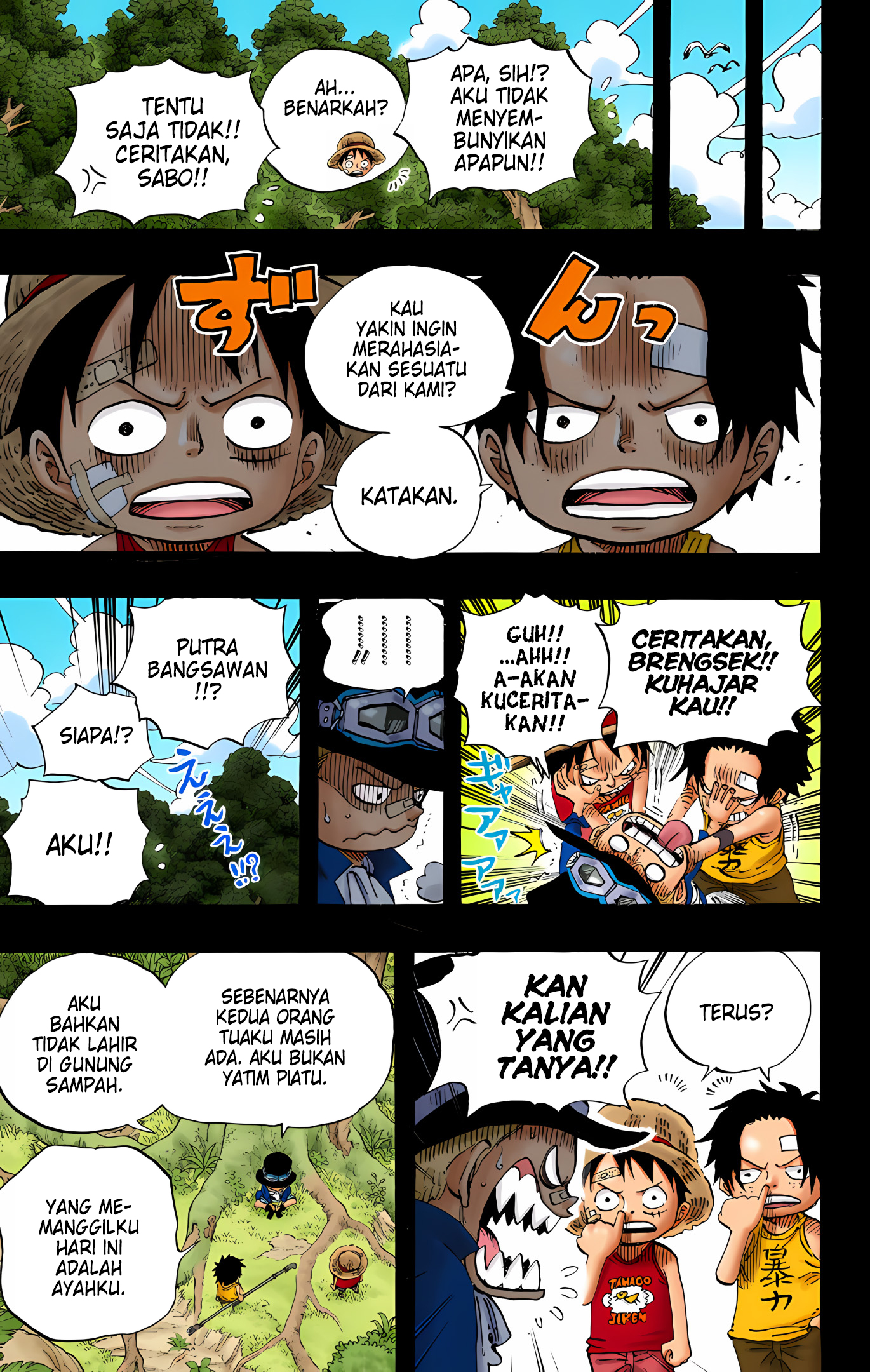 One Piece (Official Colored) Chapter 585 - halaman 13