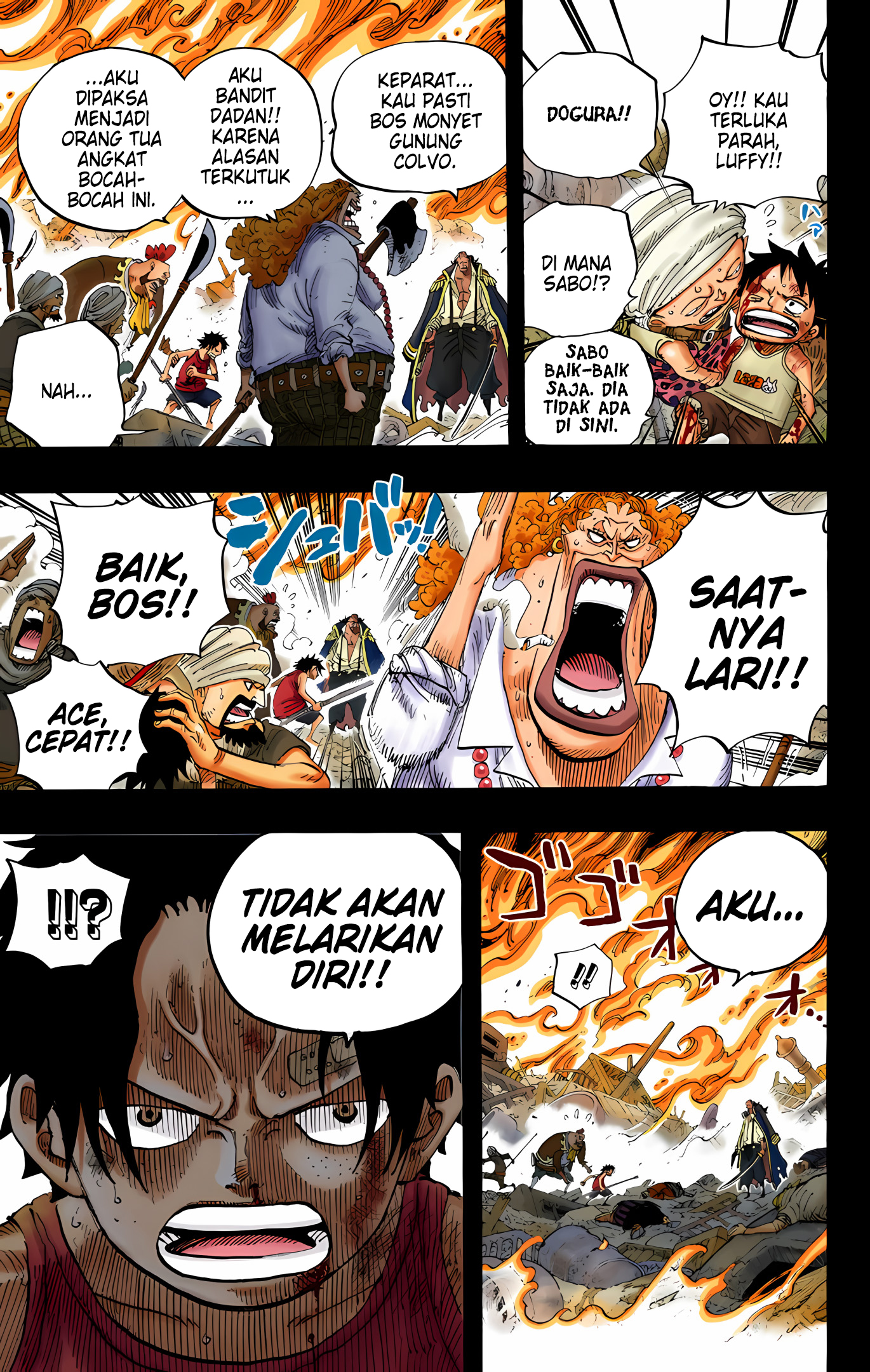 One Piece (Official Colored) Chapter 587 - halaman 11