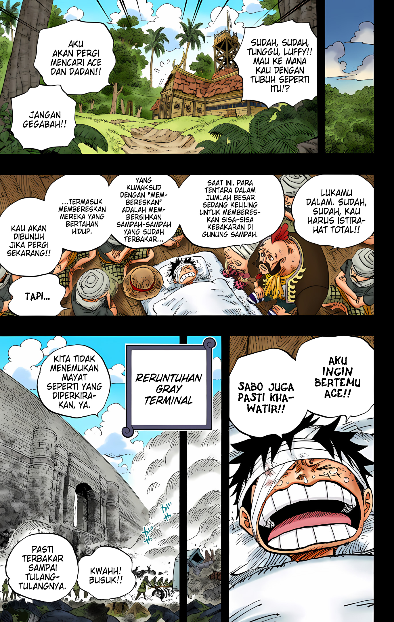 One Piece (Official Colored) Chapter 587 - halaman 17