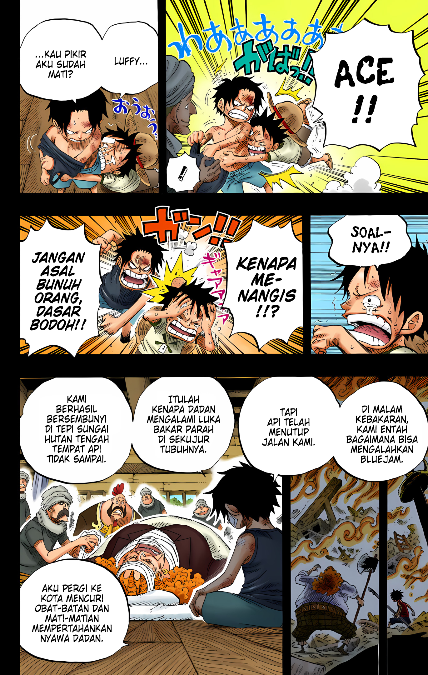 One Piece (Official Colored) Chapter 588 - halaman 10