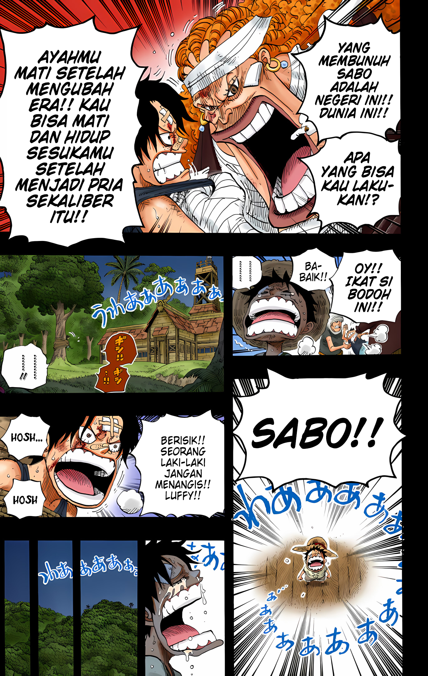 One Piece (Official Colored) Chapter 588 - halaman 17
