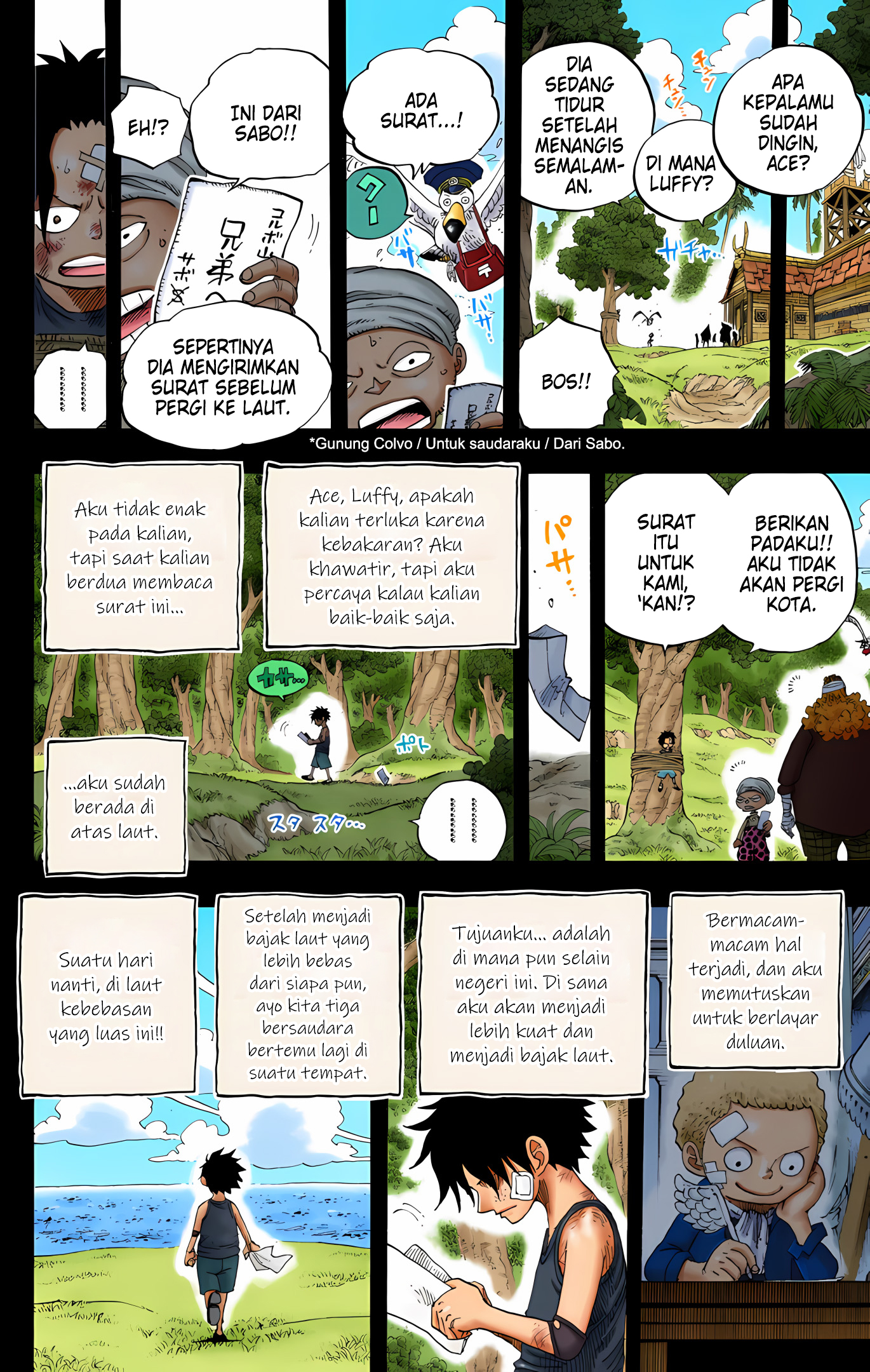 One Piece (Official Colored) Chapter 588 - halaman 18