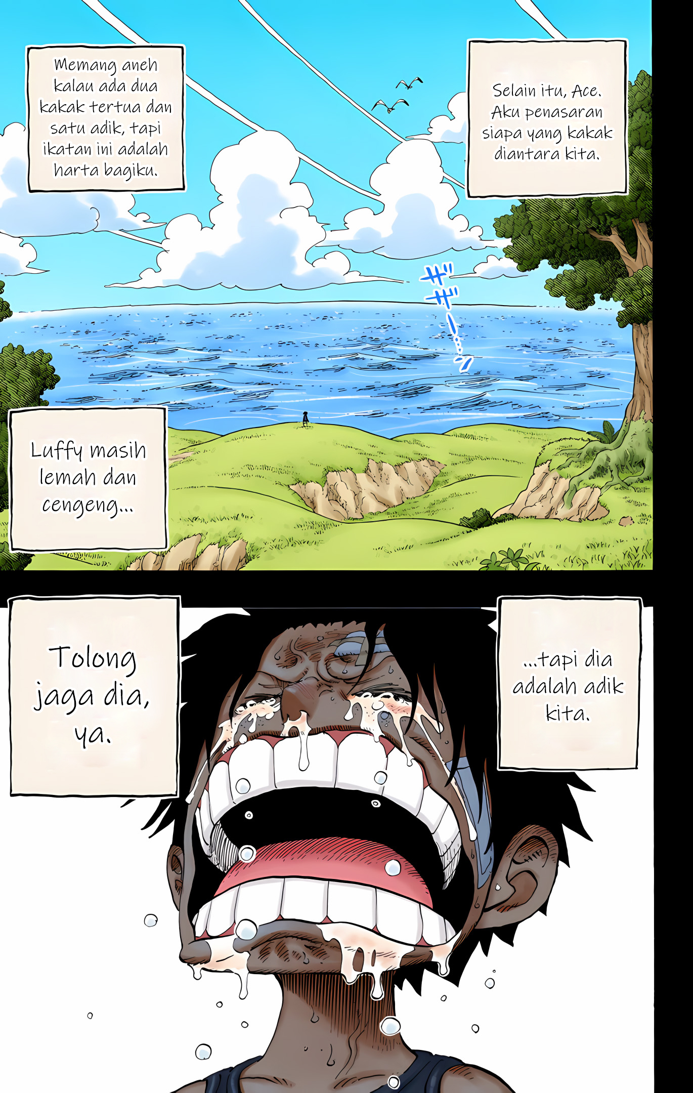 One Piece (Official Colored) Chapter 588 - halaman 19