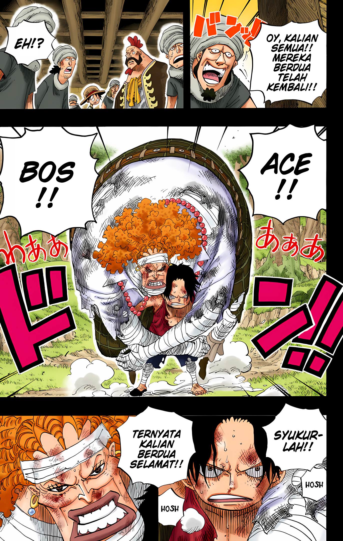 One Piece (Official Colored) Chapter 588 - halaman 9