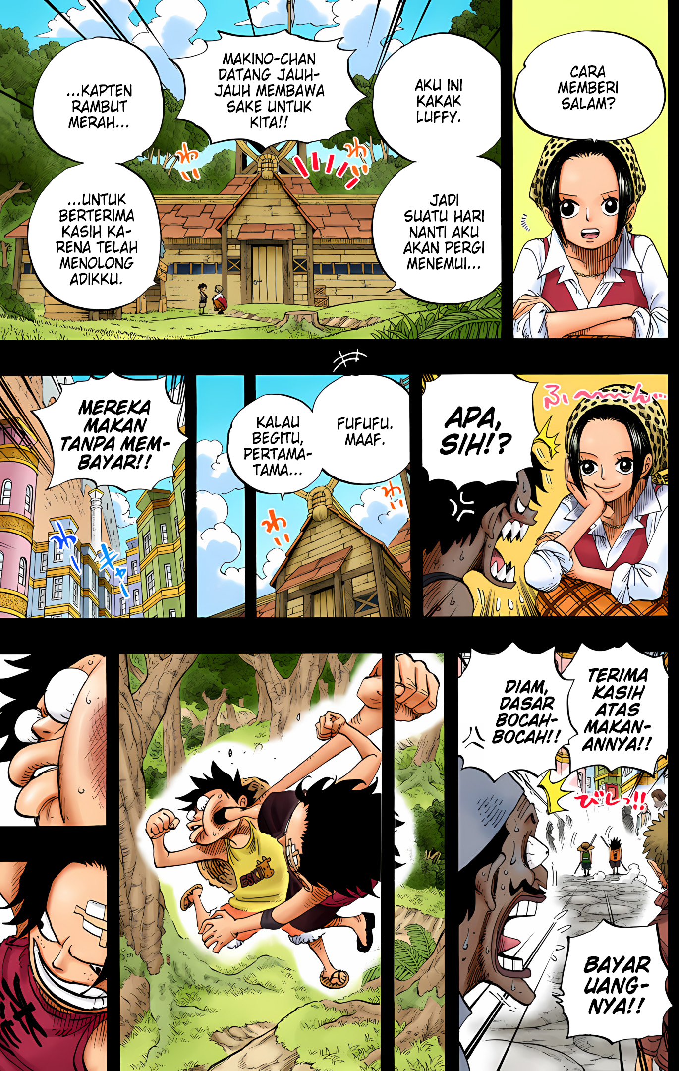 One Piece (Official Colored) Chapter 589 - halaman 11
