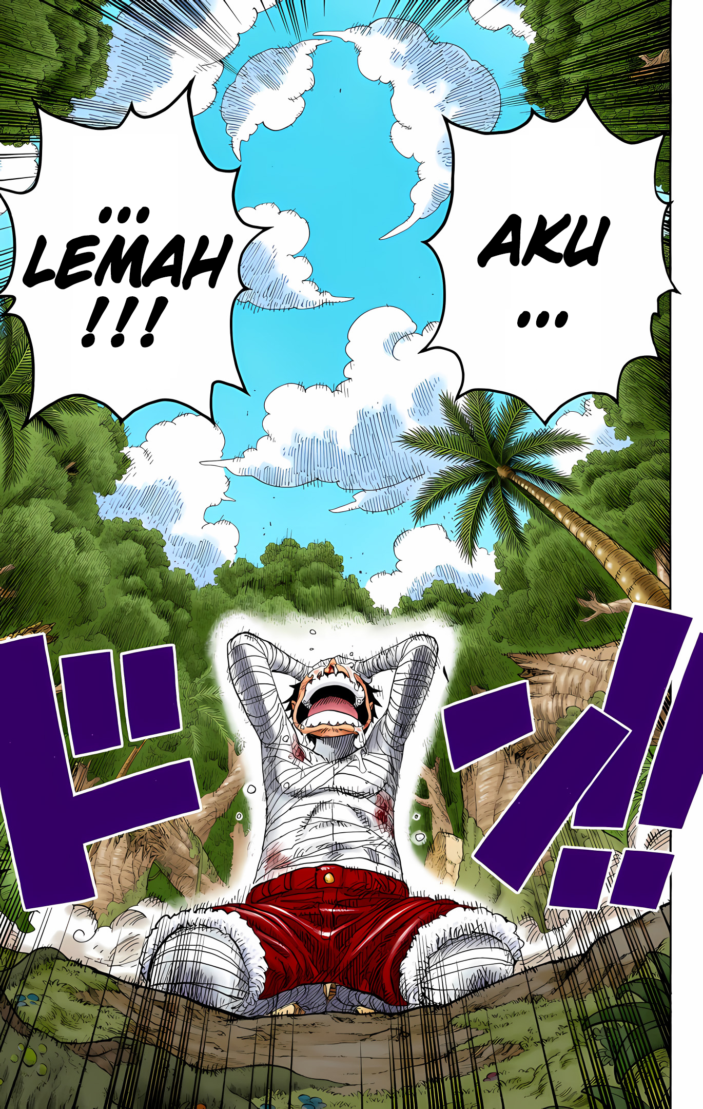 One Piece (Official Colored) Chapter 589 - halaman 19